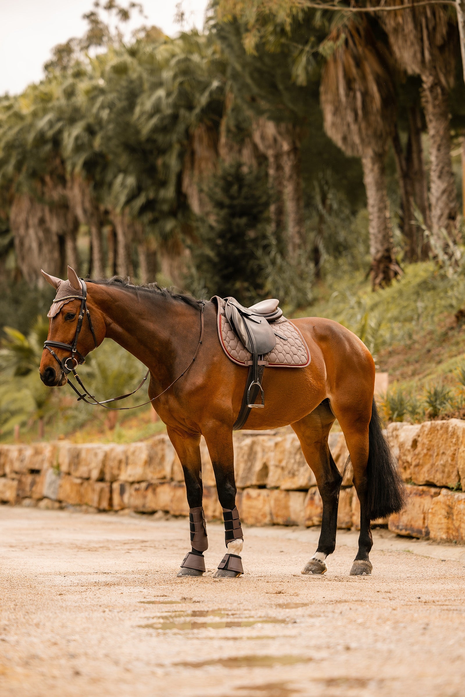 Horze Kenya All Purpose Saddle Pad Saddle Pads