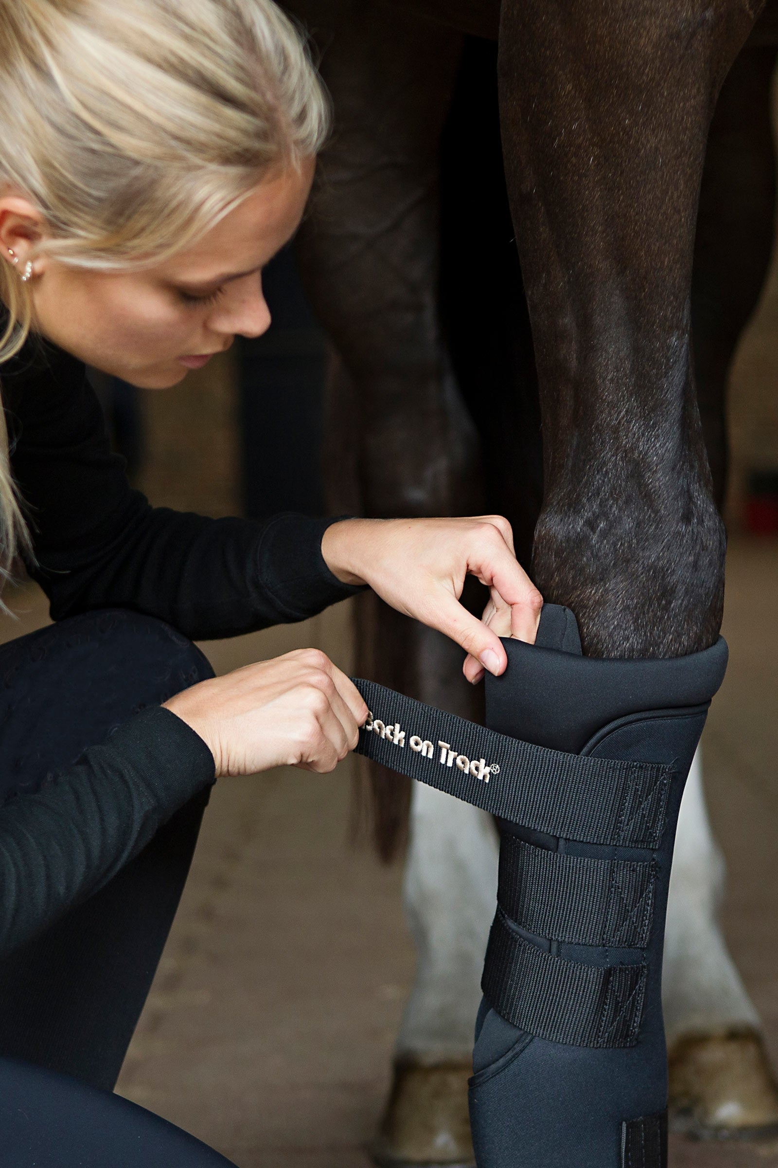 Back on Track Back On Track Quick Royal Leg Wraps Leg & Hoof Protection