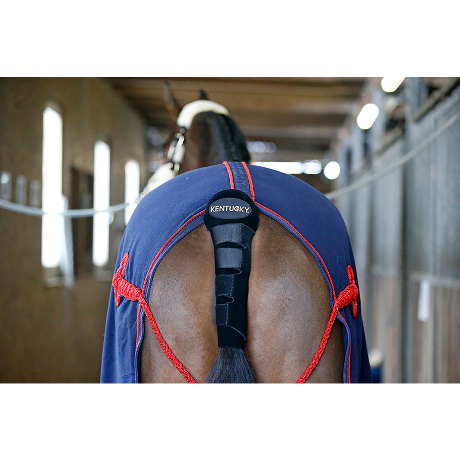 Kentucky Horsewear Tail Guard / Tail Bag Leg & Hoof Protection