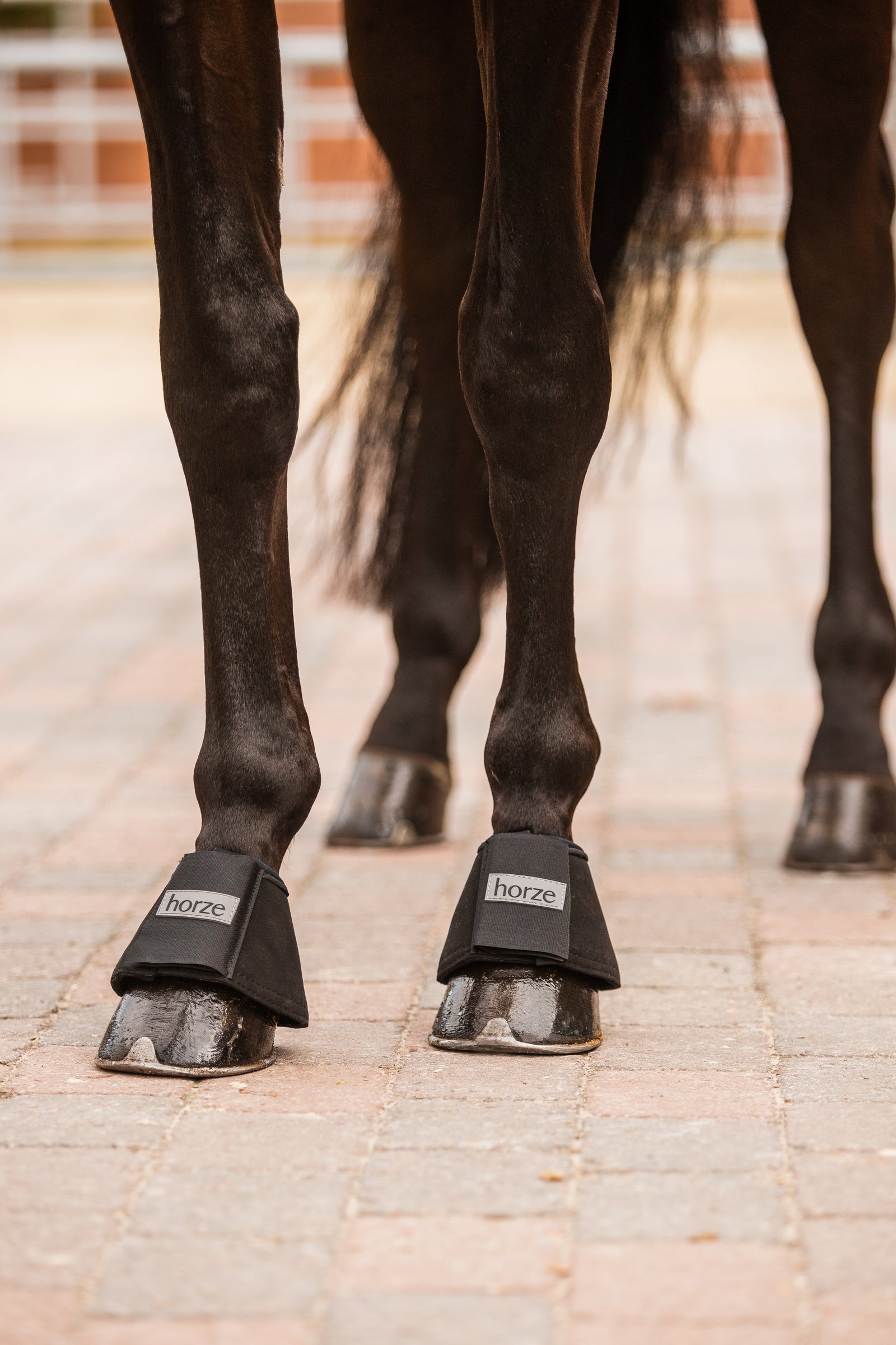 Horze All Purpose Bell Boots Leg Protection & Hoof Protection for Horses