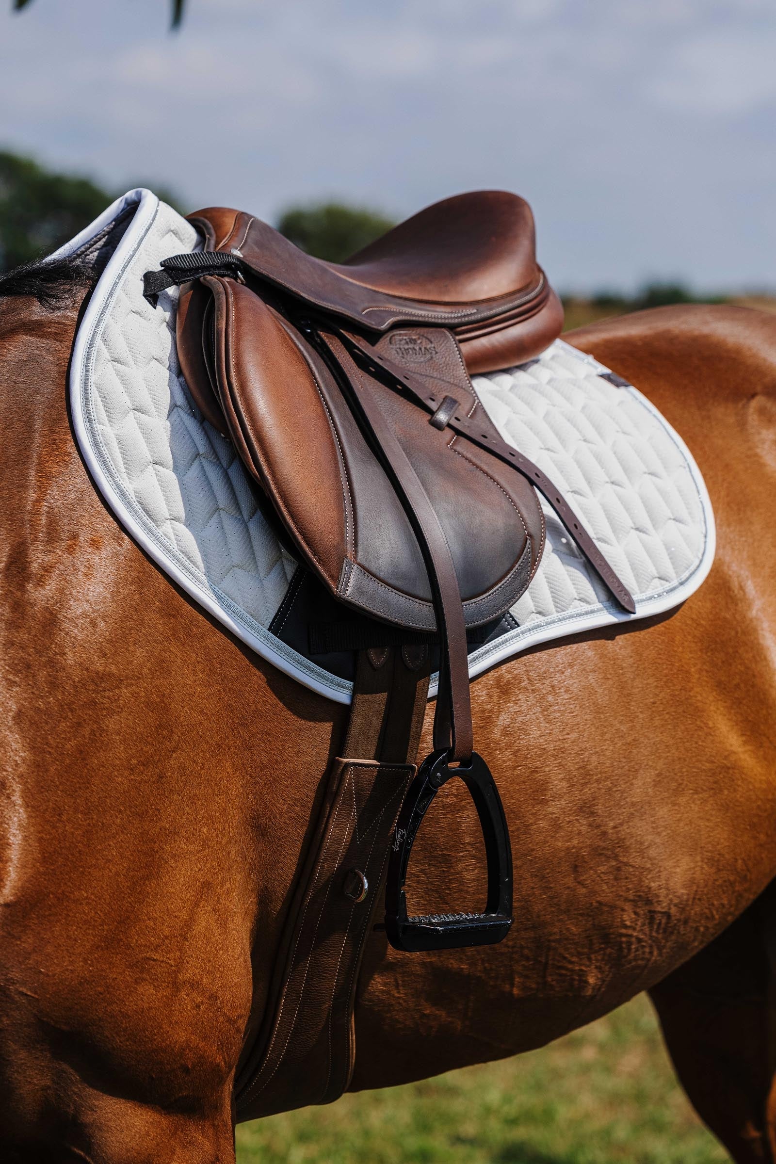 EQUITHÈME Eclat Saddle Pad Saddle Pads
