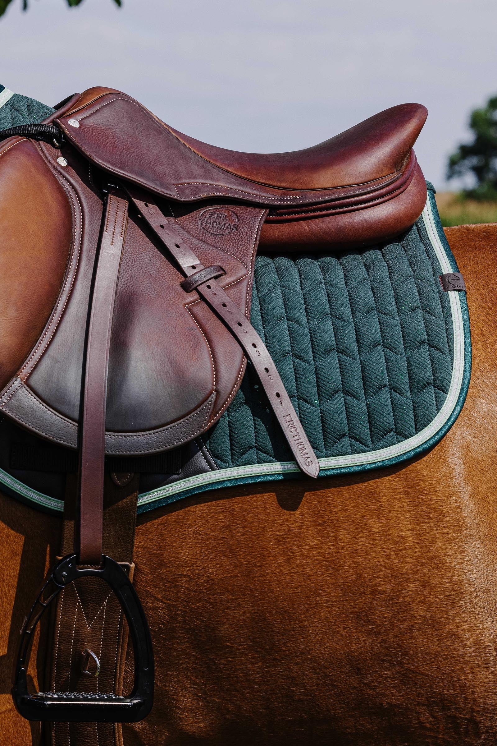 EQUITHÈME Eclat Saddle Pad Saddle Pads