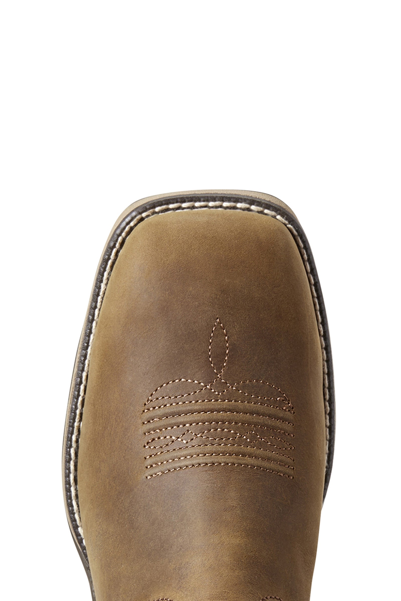 Ariat Anthem H2O Women's Waterproof Western Boots Riding Boots & Riding Shoes