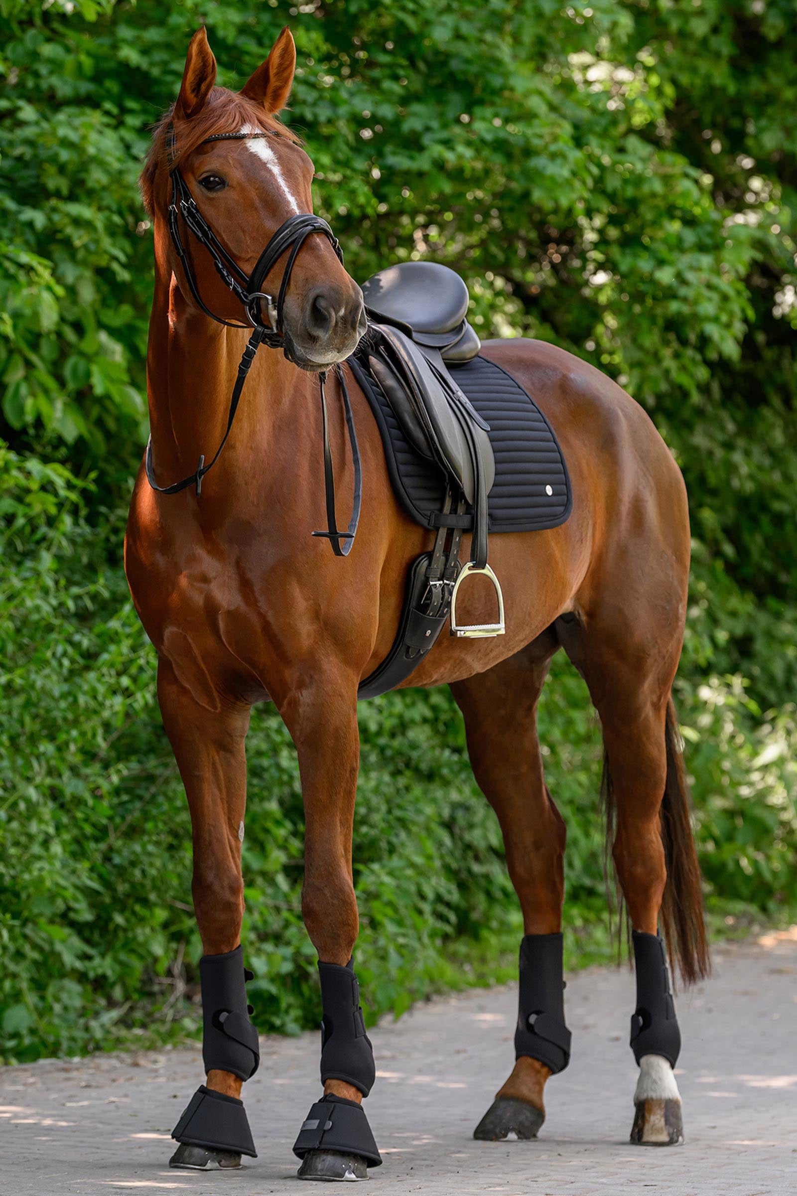 Waldhausen Trinidad Dressage Saddle Pad Saddle Pads