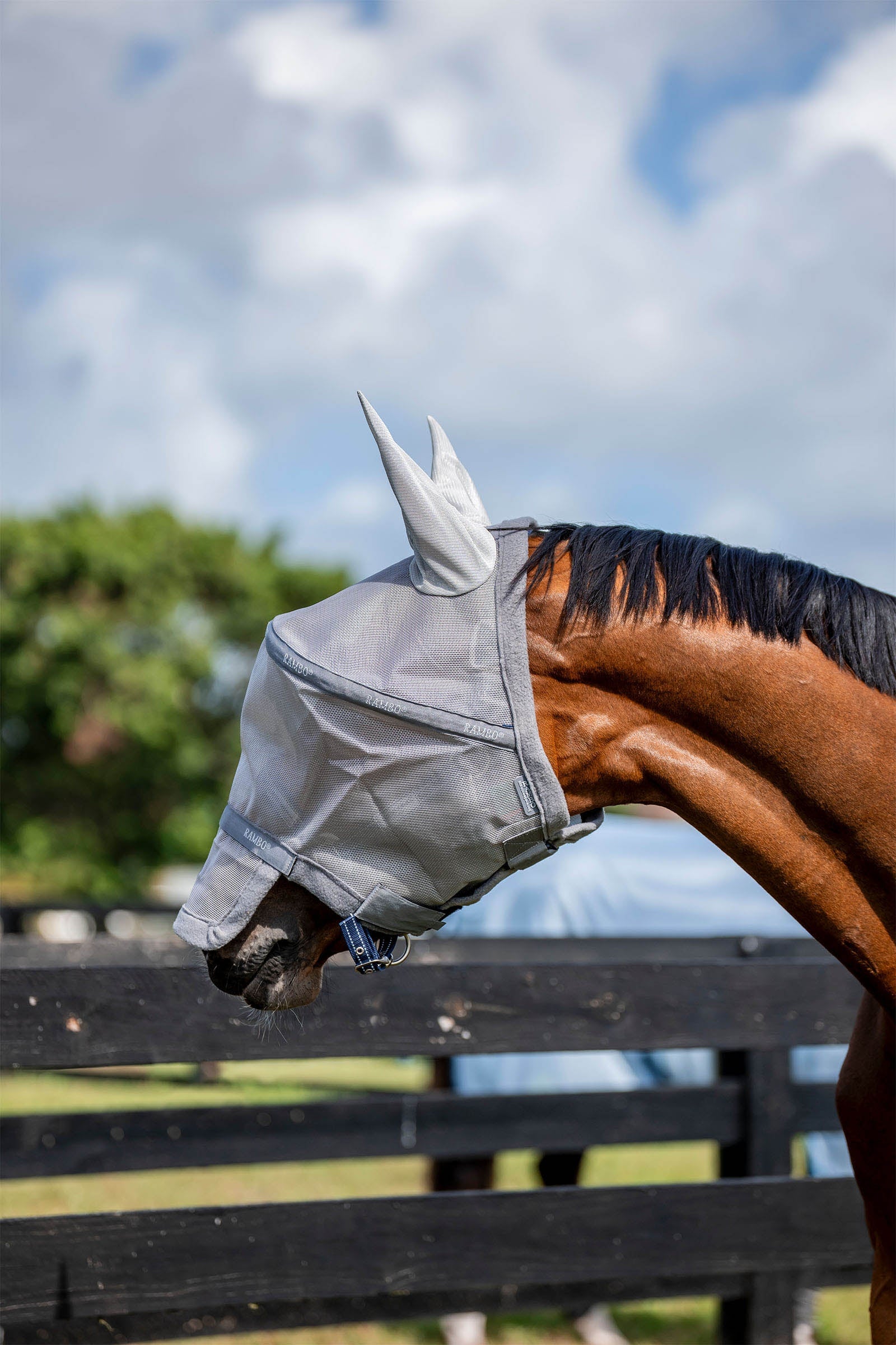 Horseware Rambo Flymask Antifly Protection for Horses
