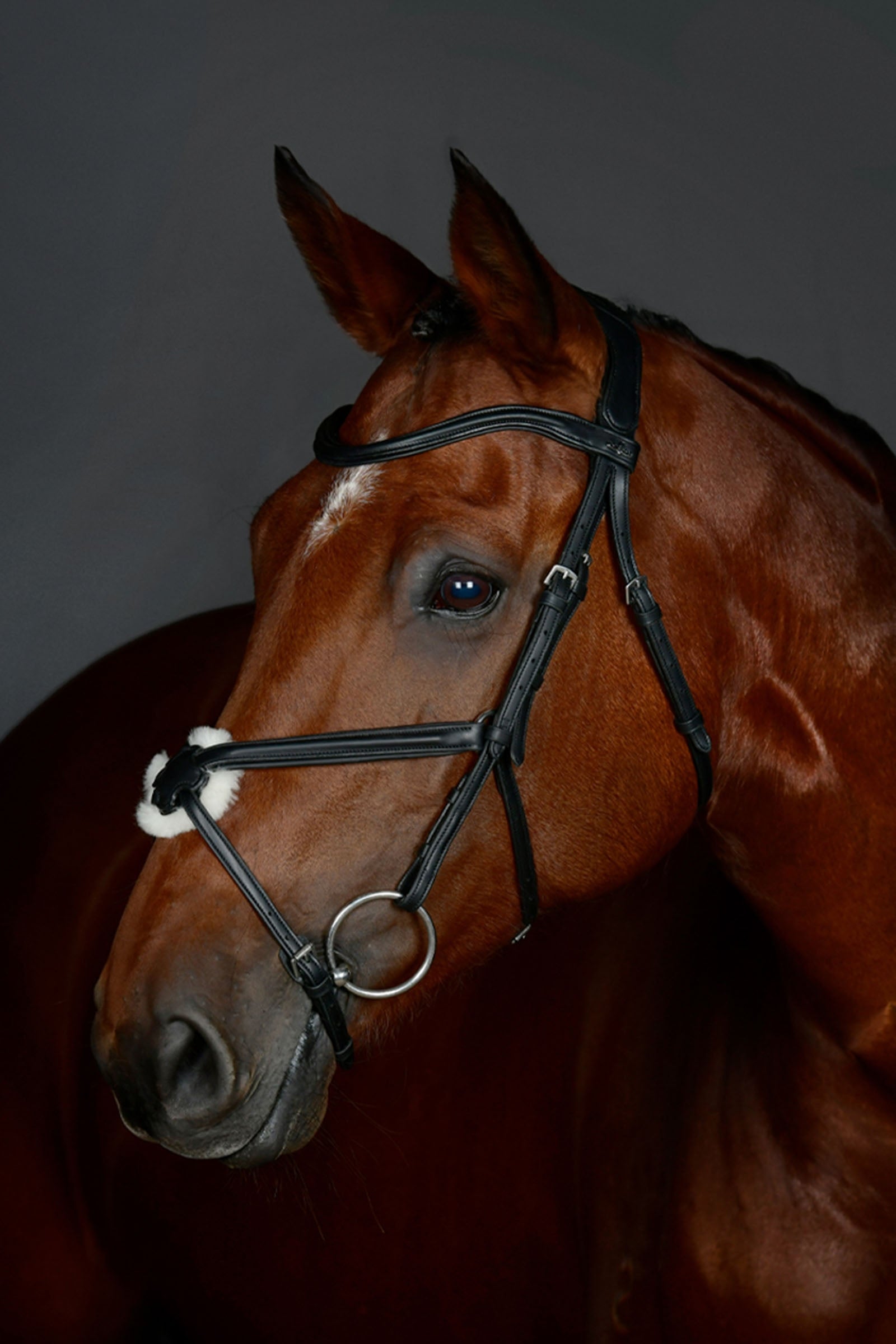 Collegiate Comfitec Opulux Plain Padded Grackle Bridle Bridles & Reins