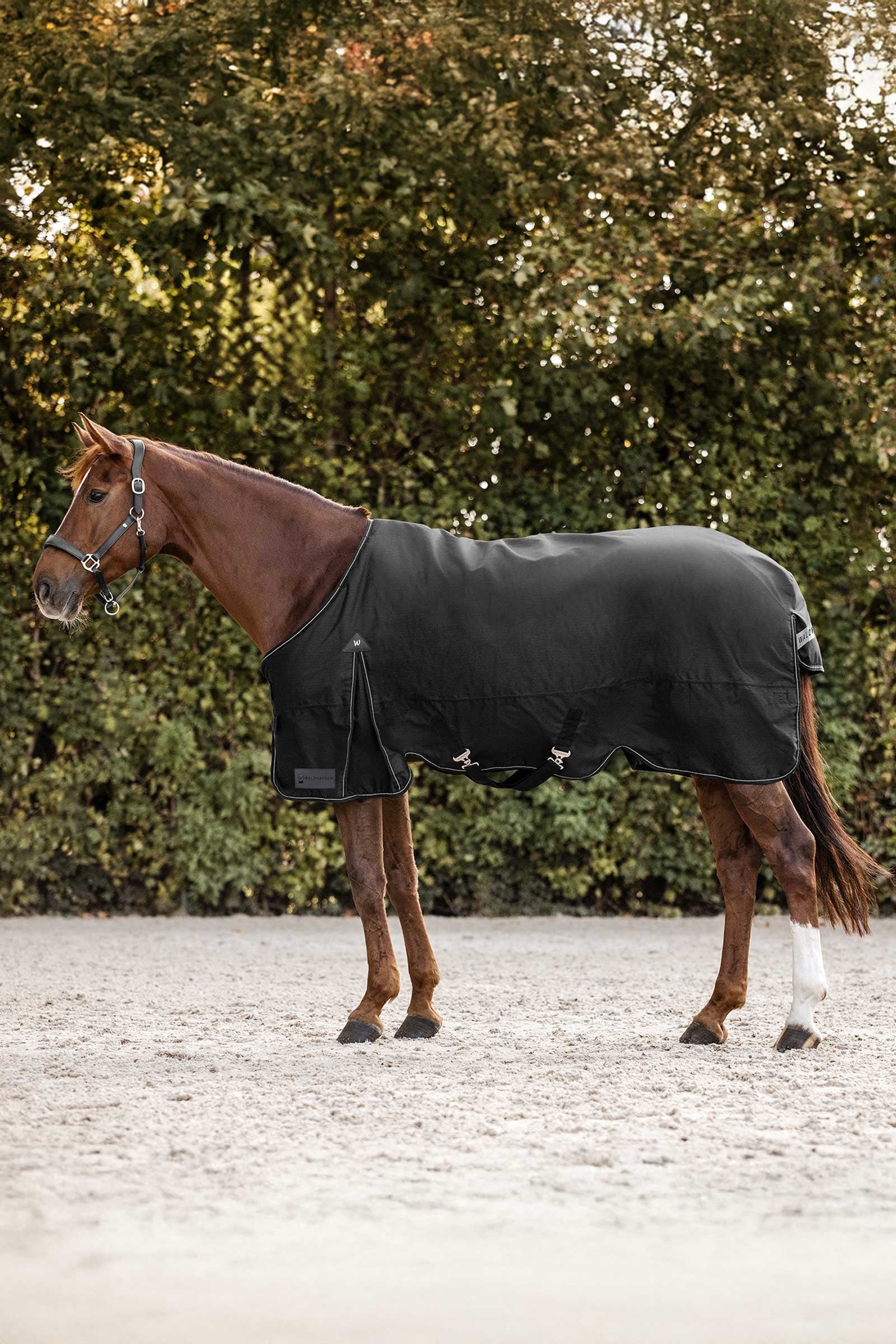 Waldhausen Arctic Turnout Rug, 200 g Horse Rugs