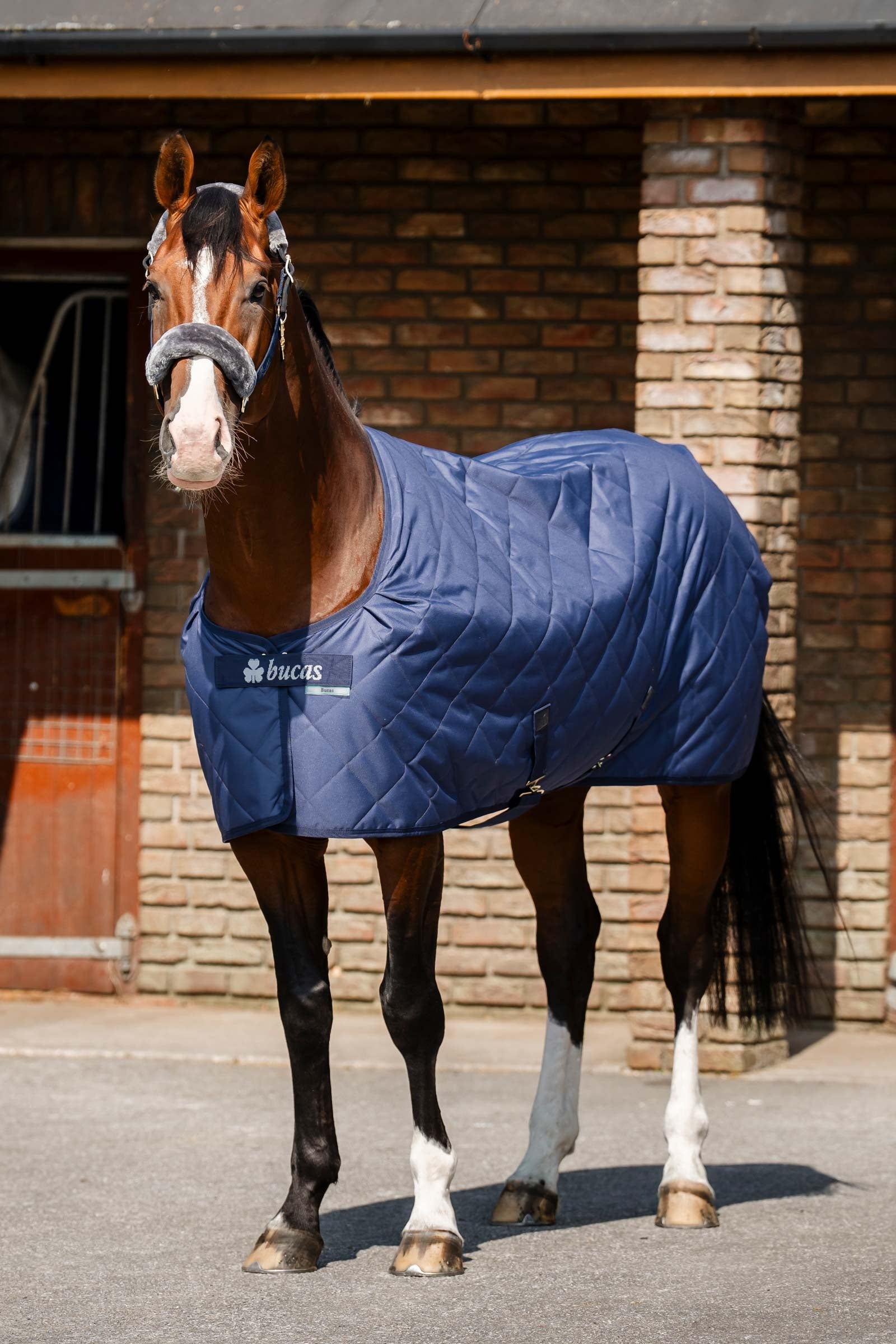 Bucas Cosy Stable Rug Horse Rugs