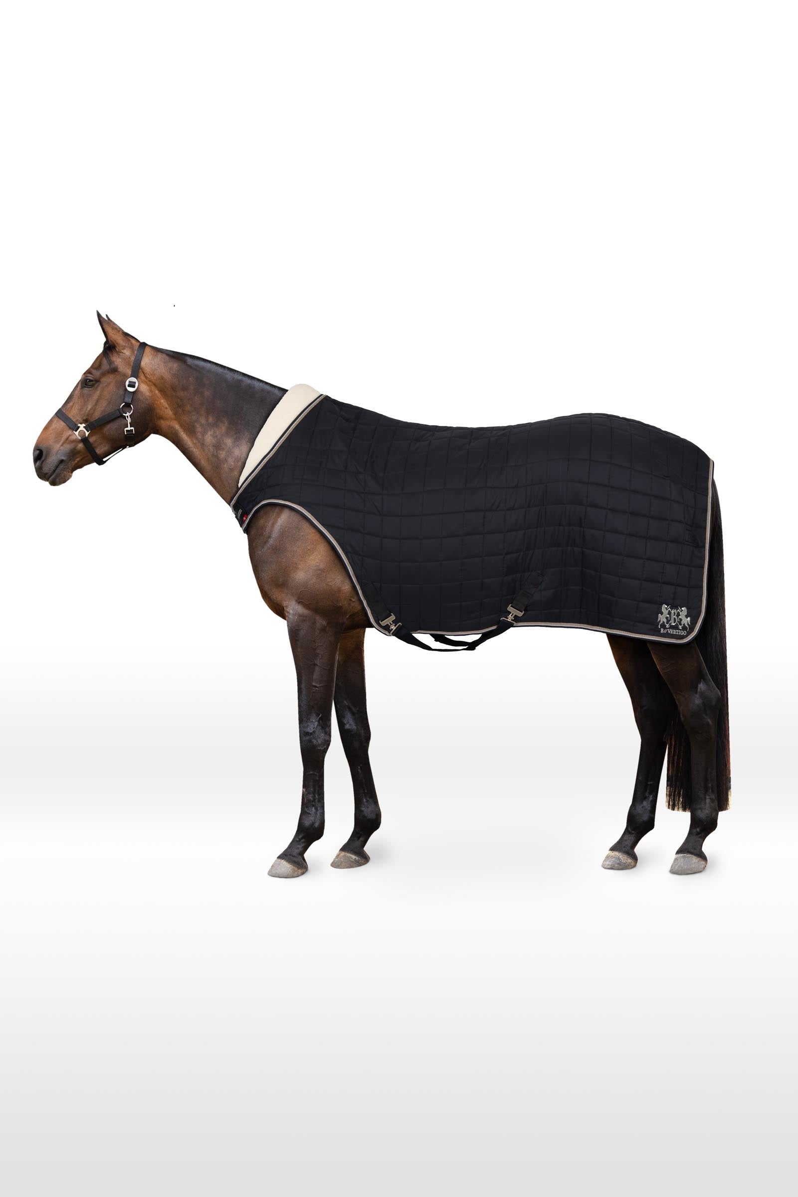 B Vertigo Mason Walker Rug, 150g Horse Rugs
