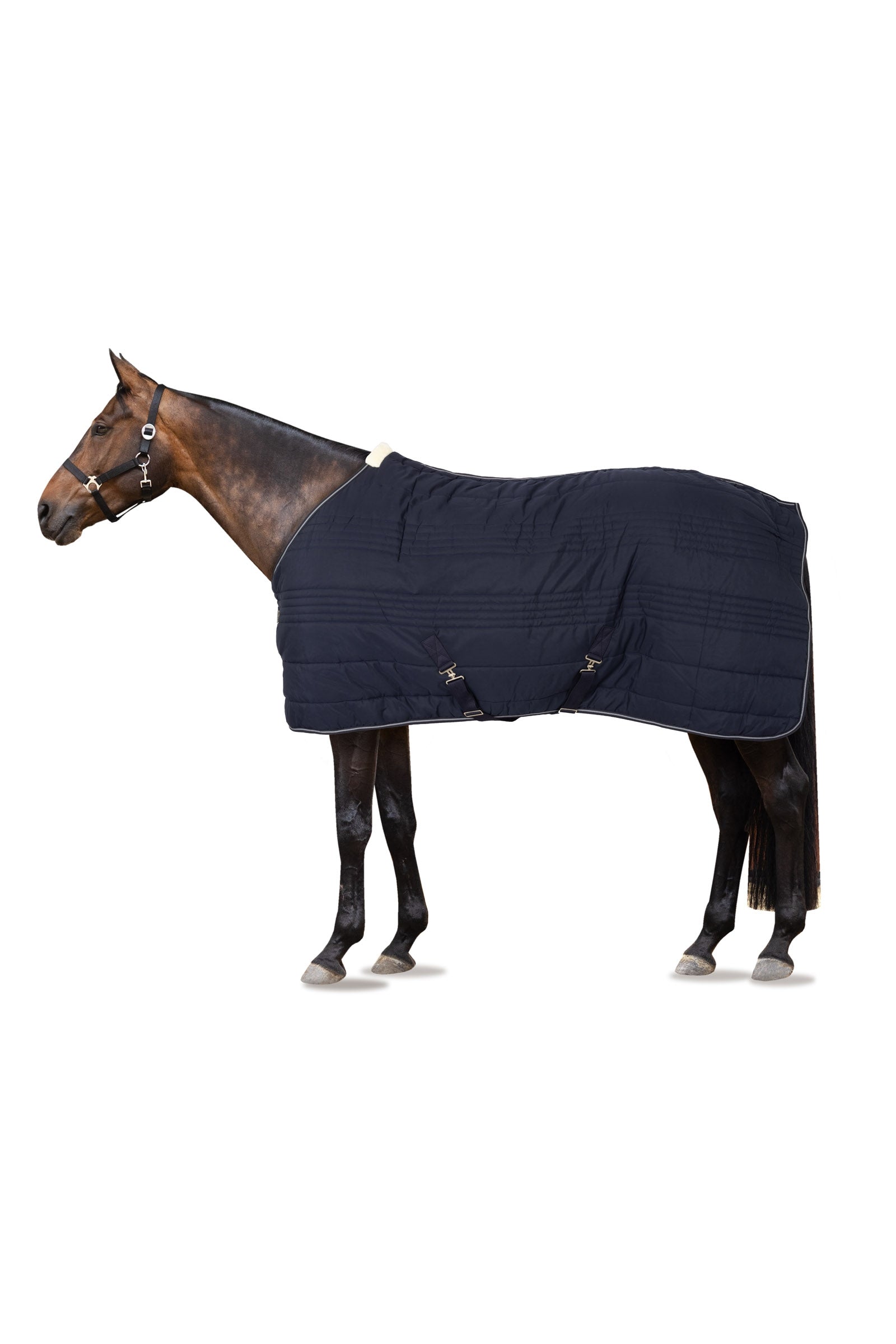 Horze Kingsley Stable Rug, 150g Horse Rugs