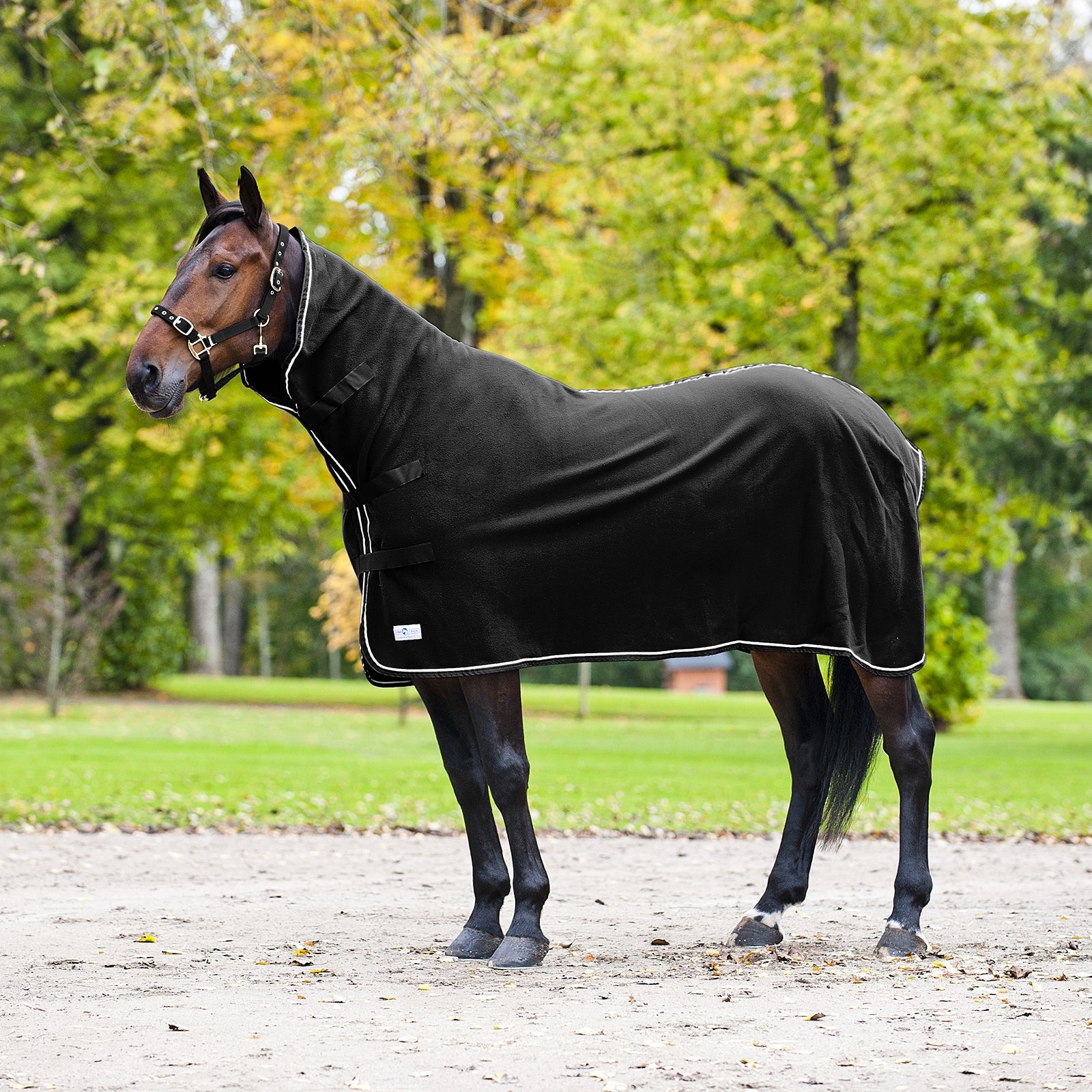 Finntack Pro High Neck Cooler Rug Horse Rugs