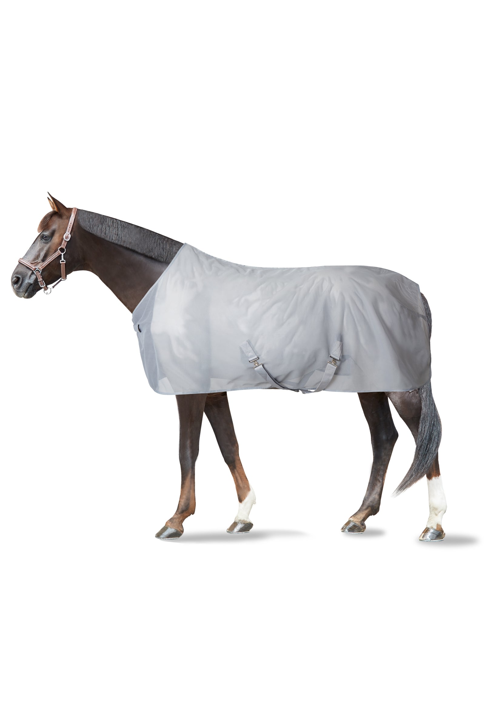 Horze Orleans Fly Rug Horse Rugs