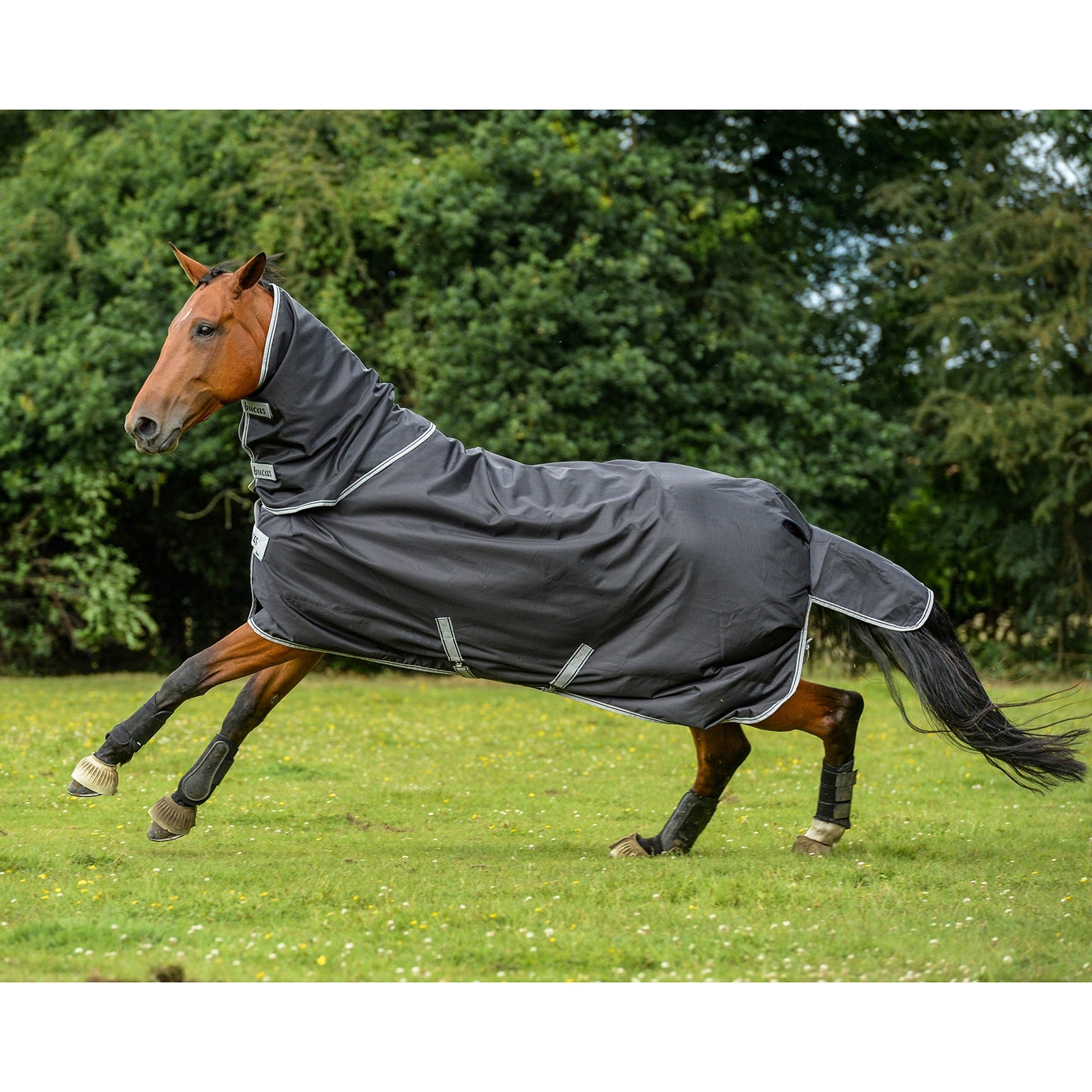 Bucas Smartex Neck, 0 g Horse Rugs