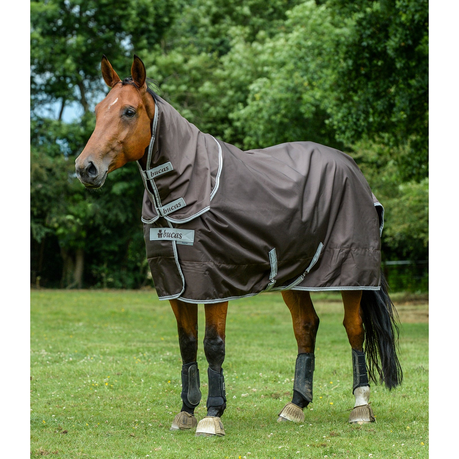 Bucas Smartex Neck, 0 g Horse Rugs