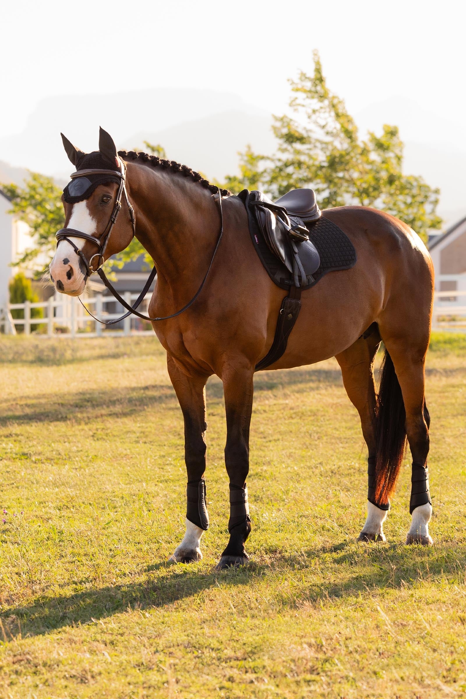 LeMieux Cotton GP Square Saddle Pad Saddle Pads