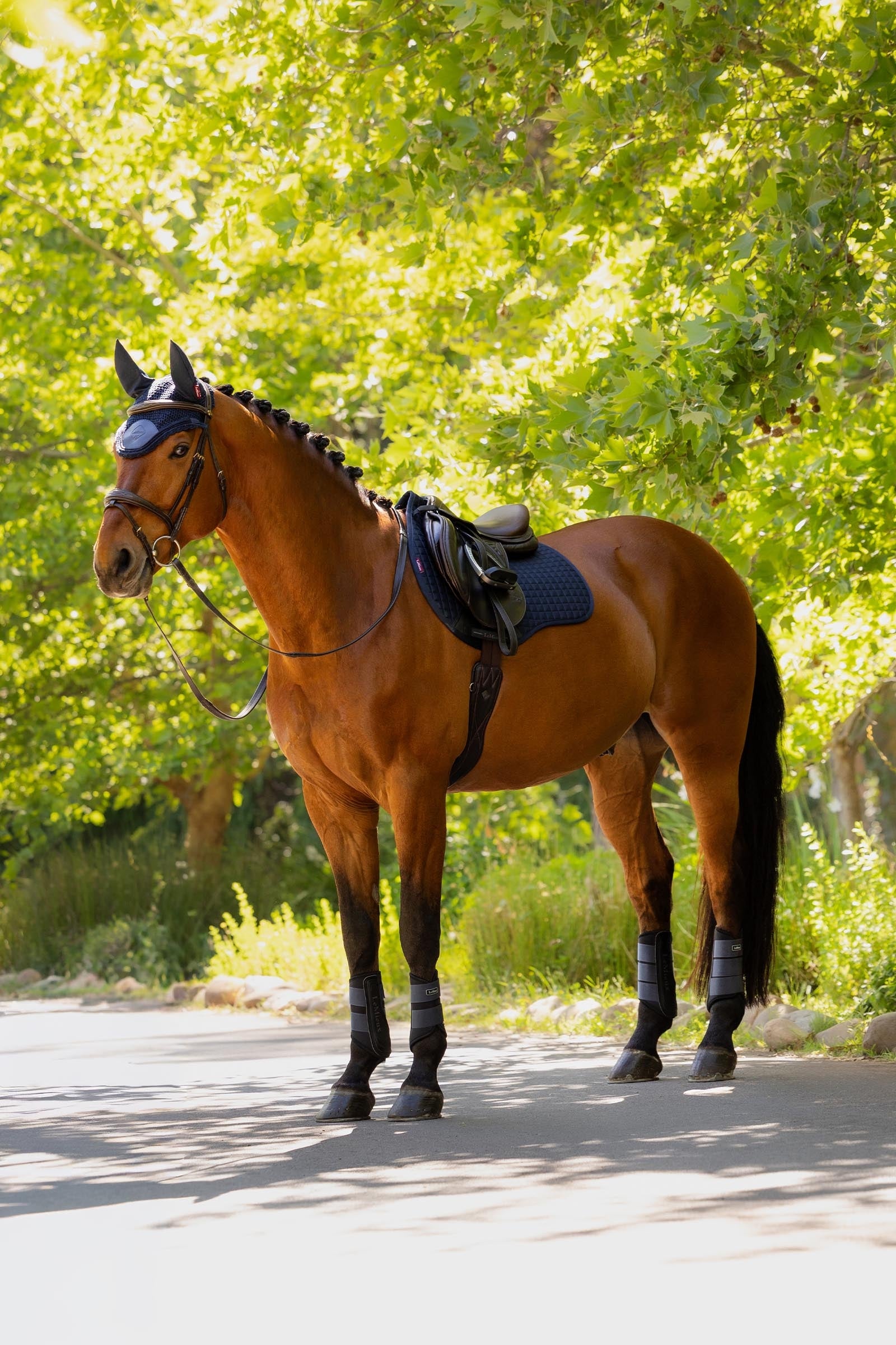 LeMieux Cotton GP Square Saddle Pad Saddle Pads