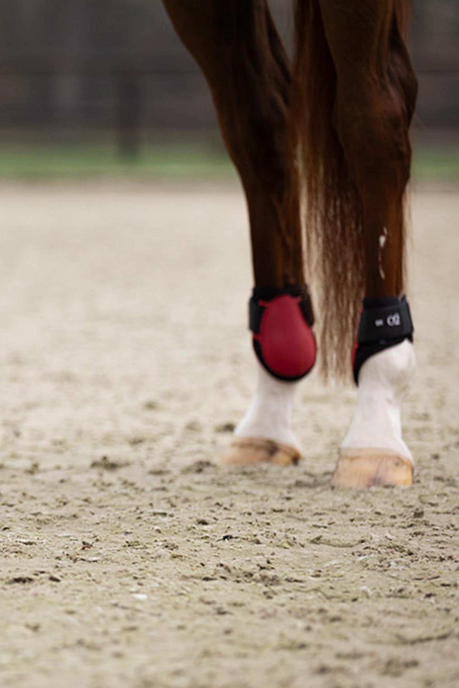 BR XO2 Fetlock Boots Leg Protection & Hoof Protection for Horses