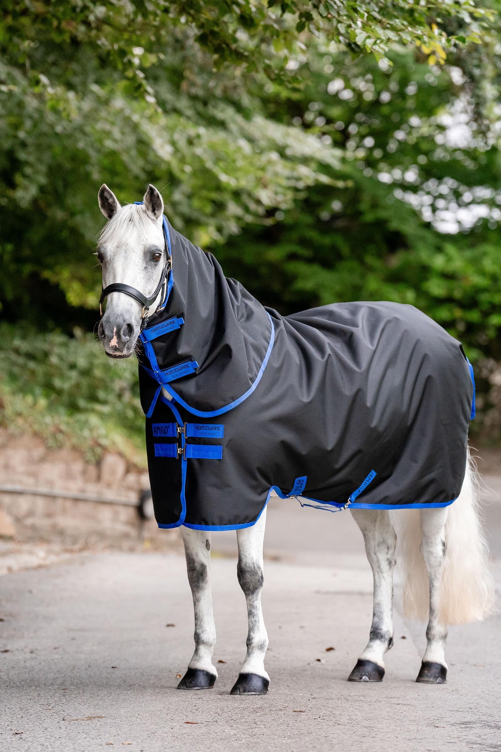 Horseware Amigo Ripstop 900D Plus Turnout Rug, 100 g Horse Rugs