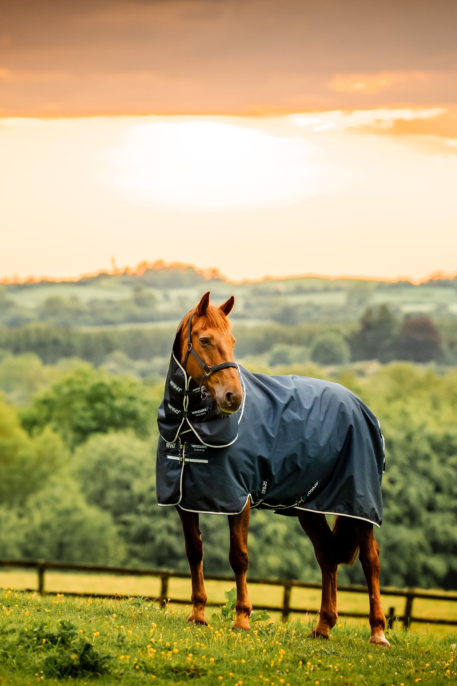 Horseware Amigo Ripstop 900D Plus Turnout Rug, 100 g Horse Rugs