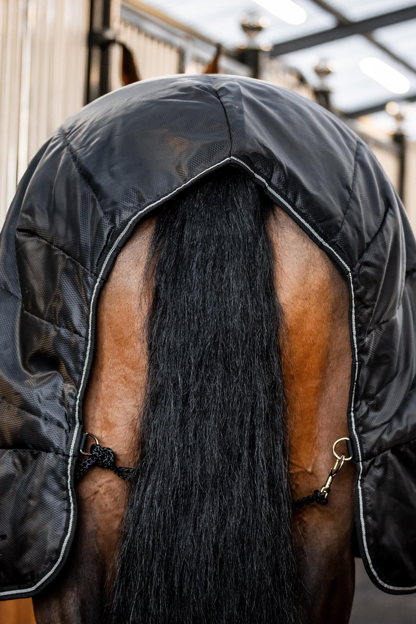 Horseware Amigo Ripstop Insulator Stable Rug, 100 g Horse Rugs