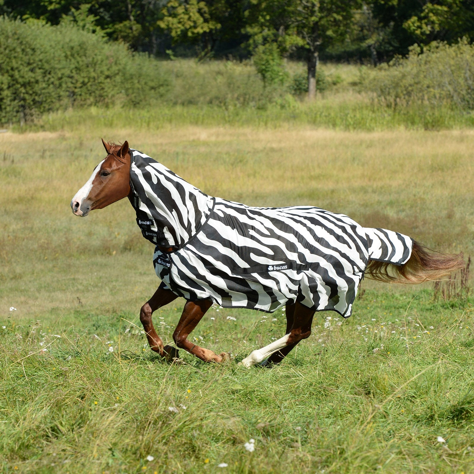 Bucas Buzz Off Zebra Fly Rug with fixed neck Horse Rugs