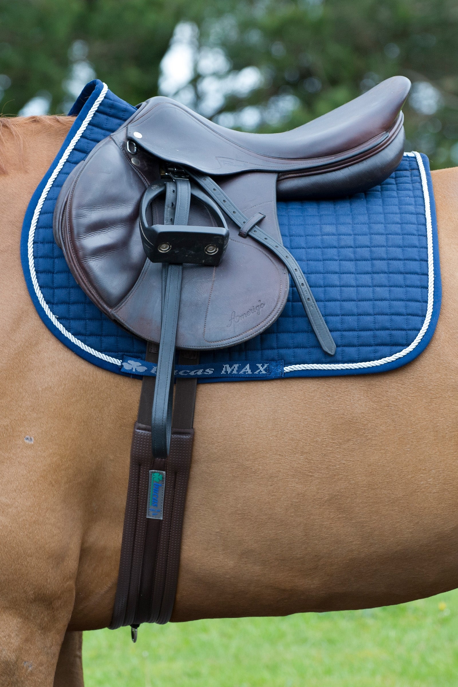 Bucas Max Saddle Pad Jumping/AP Saddle Pads
