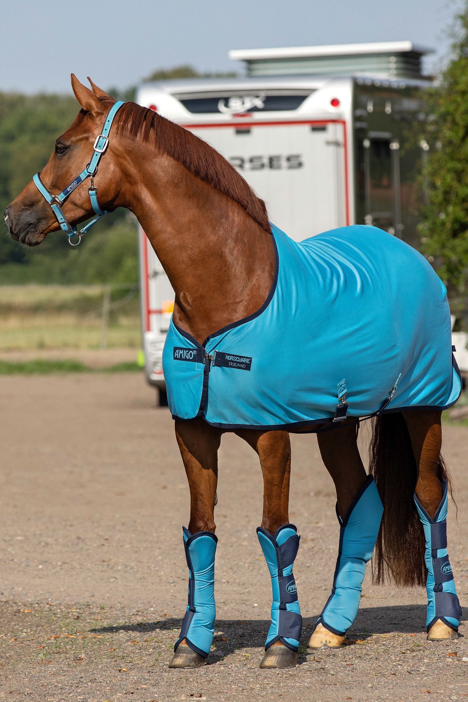 Horseware Amigo Jersey Cooler Horse Rugs