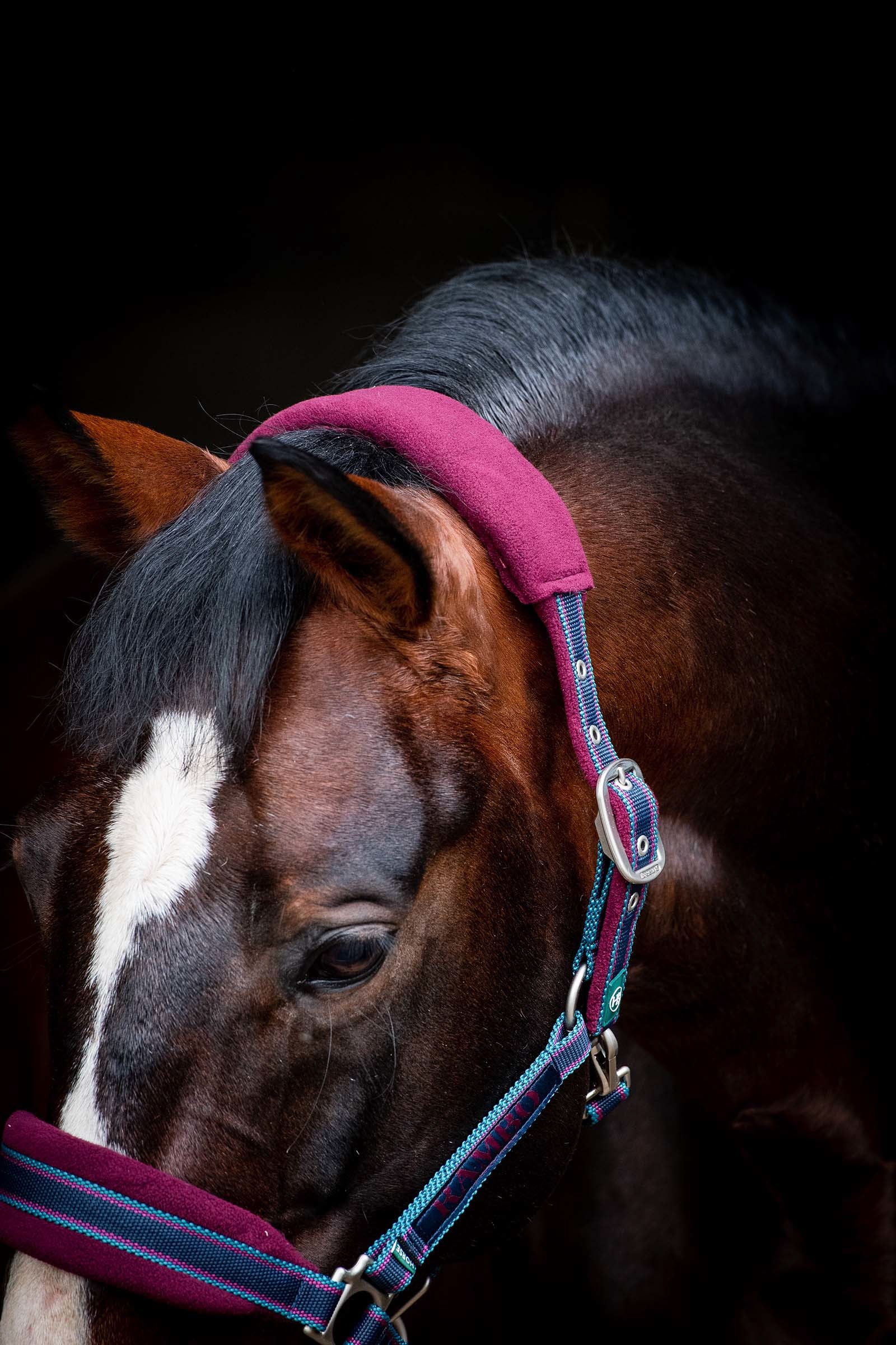 Horseware Rambo Padded Head collar Halters & Leads