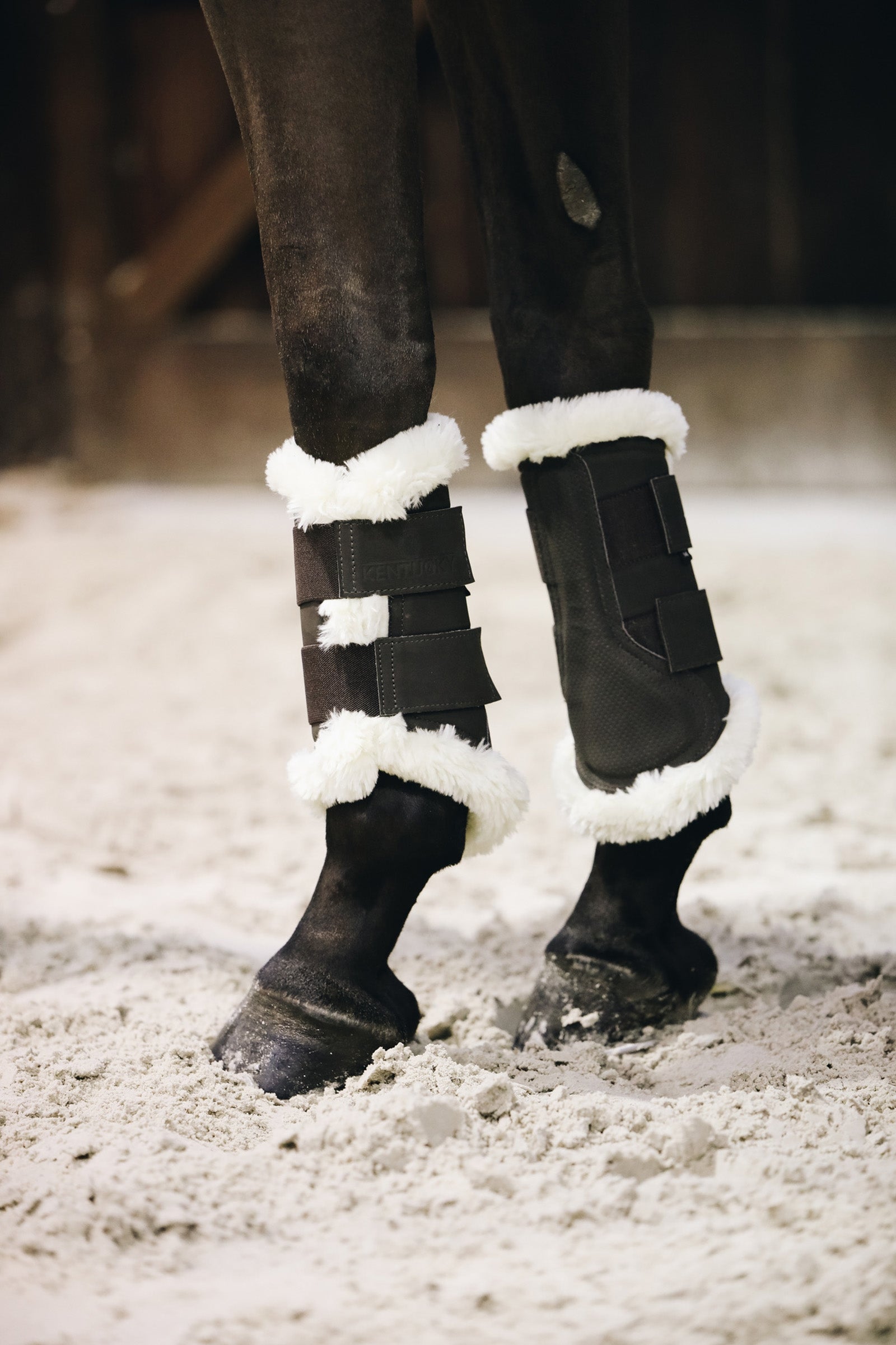 Kentucky Horsewear Turnout AIR boots, front Leg Protection & Hoof Protection for Horses