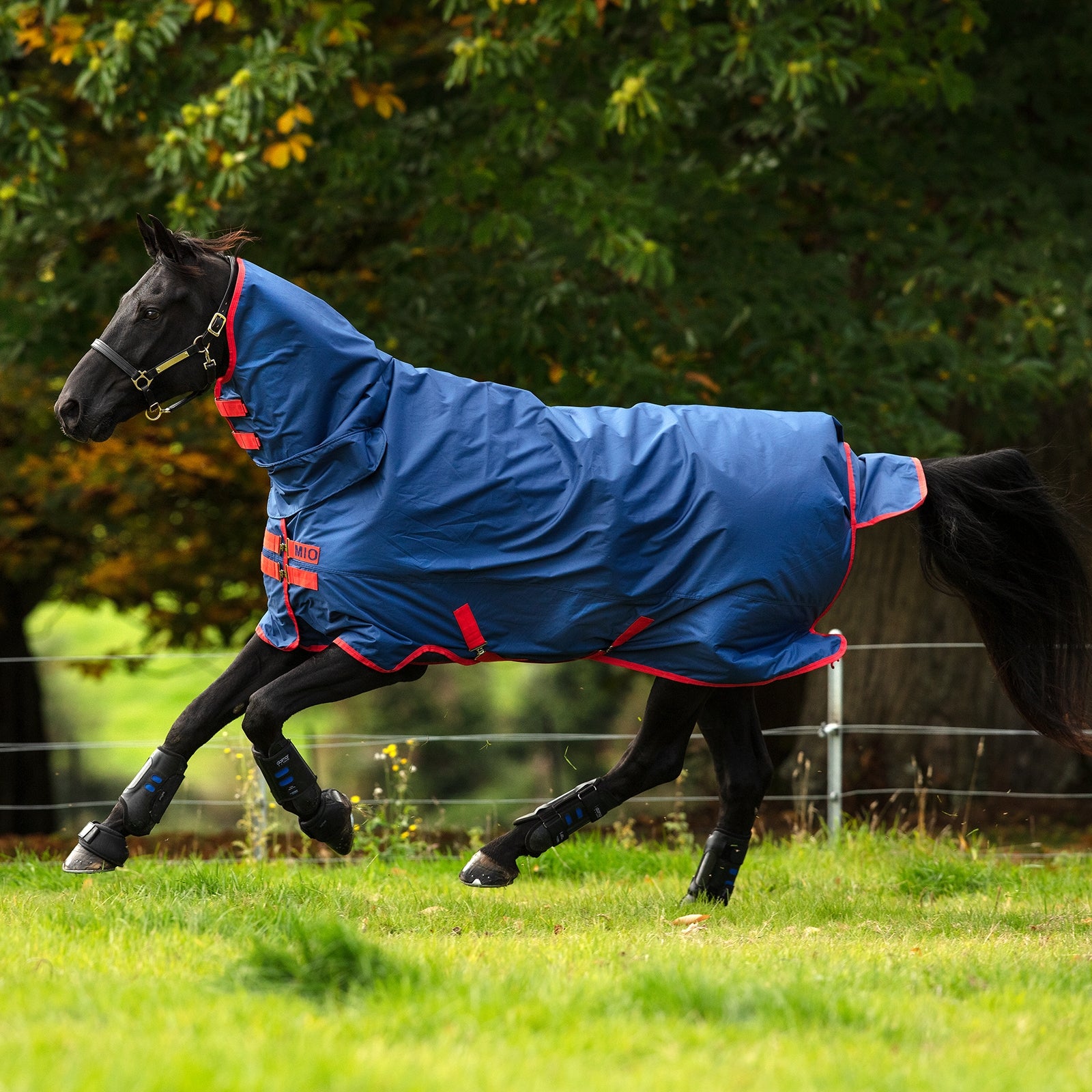 Horseware Mio All-In-One-Self Turnout with Integrated Hood, 0 g. Horse Rugs