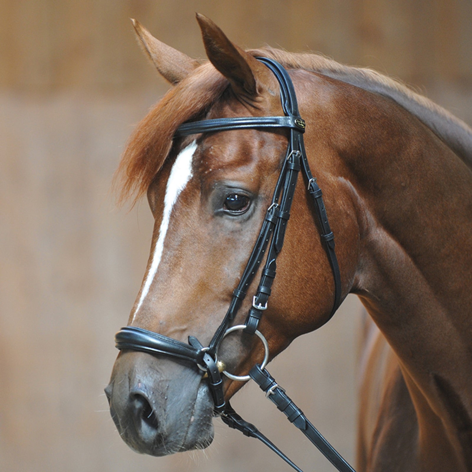 Kavalkade Bridle Line Ecoline, drop noseband Bridles & Reins