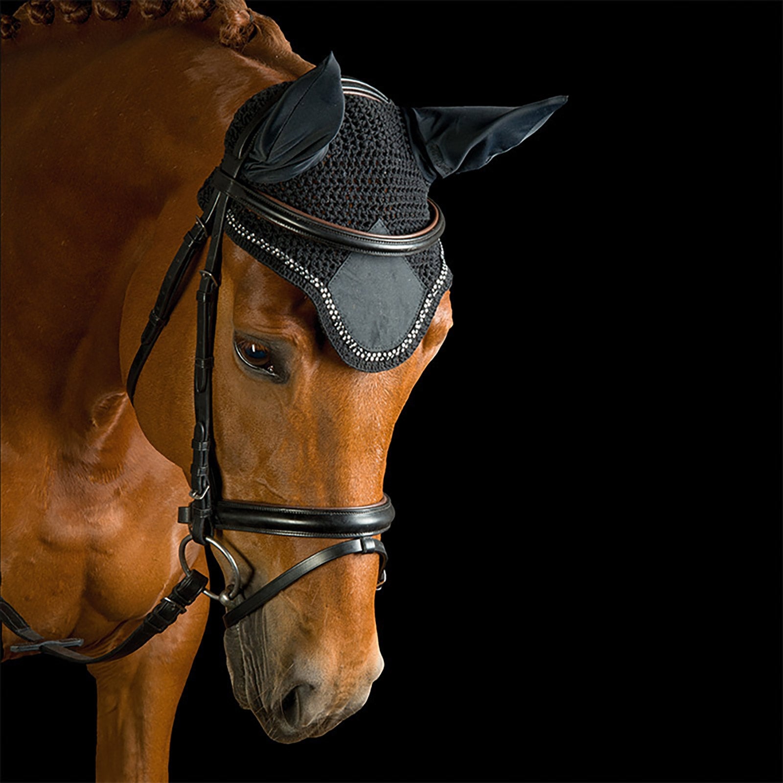 Kavalkade Fly ears w/ rhinestones Saddle Pads