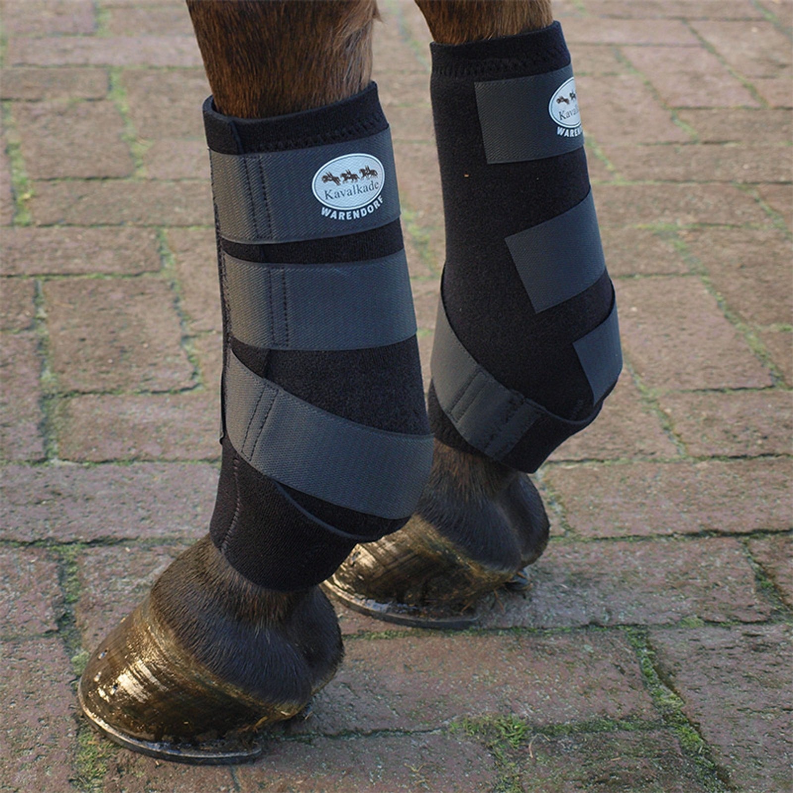 Kavalkade Neoprene wrap boots Leg Protection & Hoof Protection for Horses