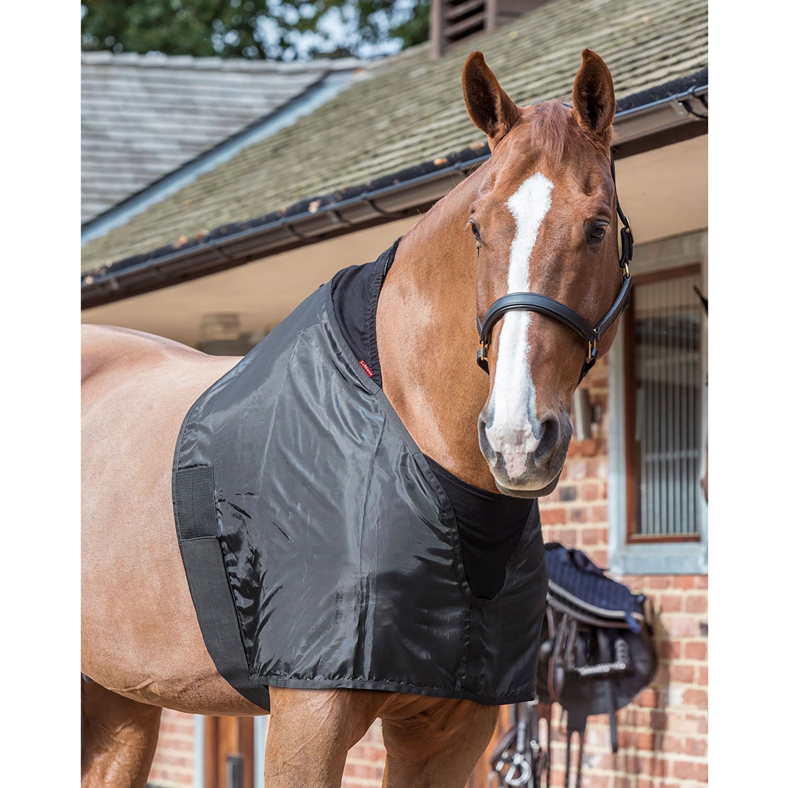 LeMieux Anti Rub Bib Horse Rugs