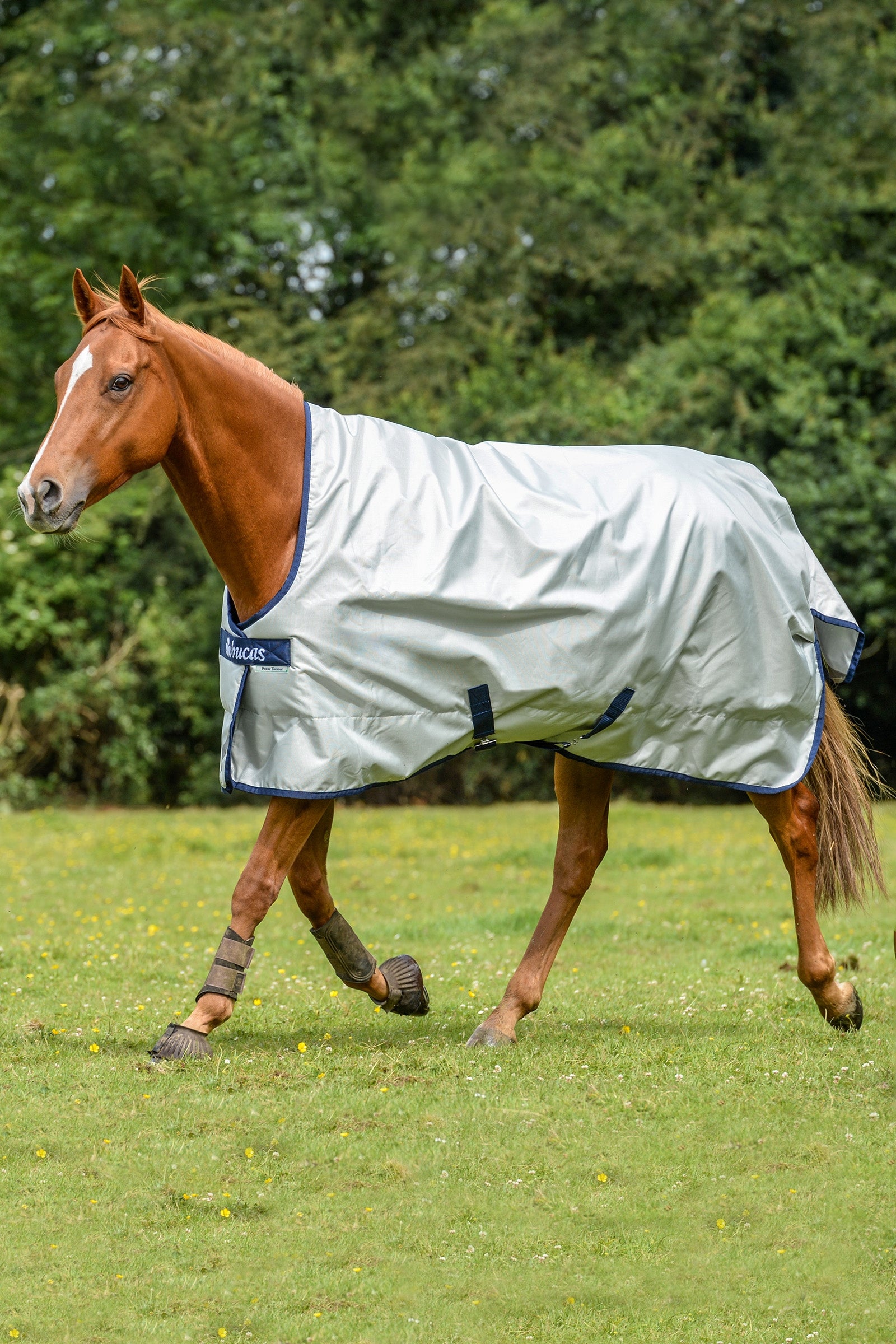 Bucas Power Turnout Extra High Neck, 300g Horse Rugs