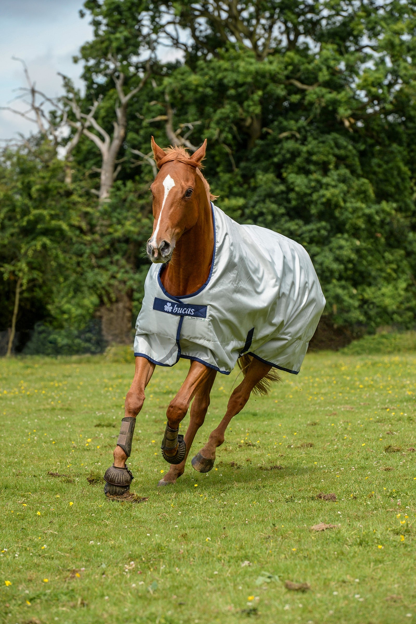 Bucas Power Turnout Extra High Neck, 300g Horse Rugs