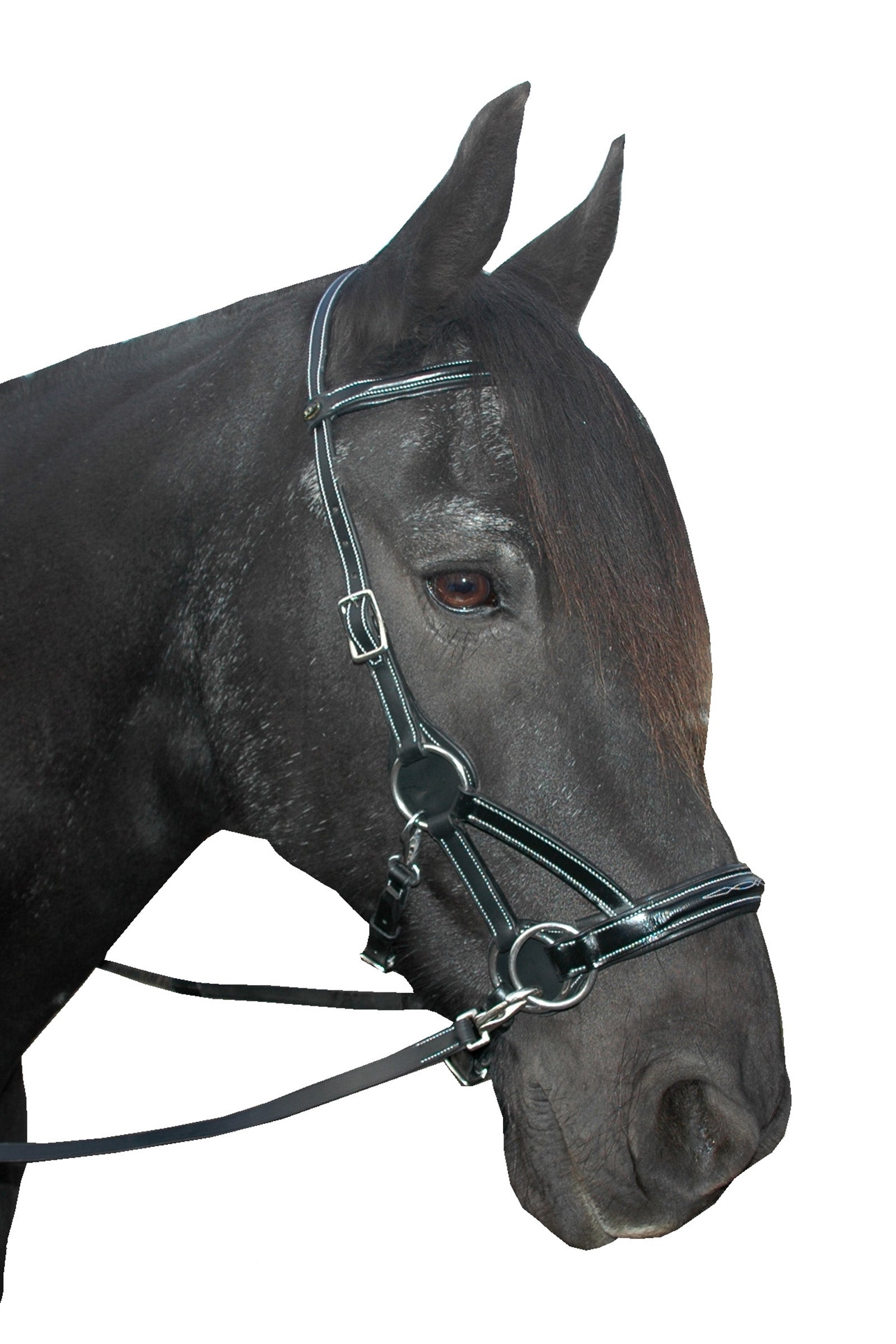 F.R.A. Freedom Riding Articles Flandy  /side Pull (System 3) English Leather Bridles & Reins