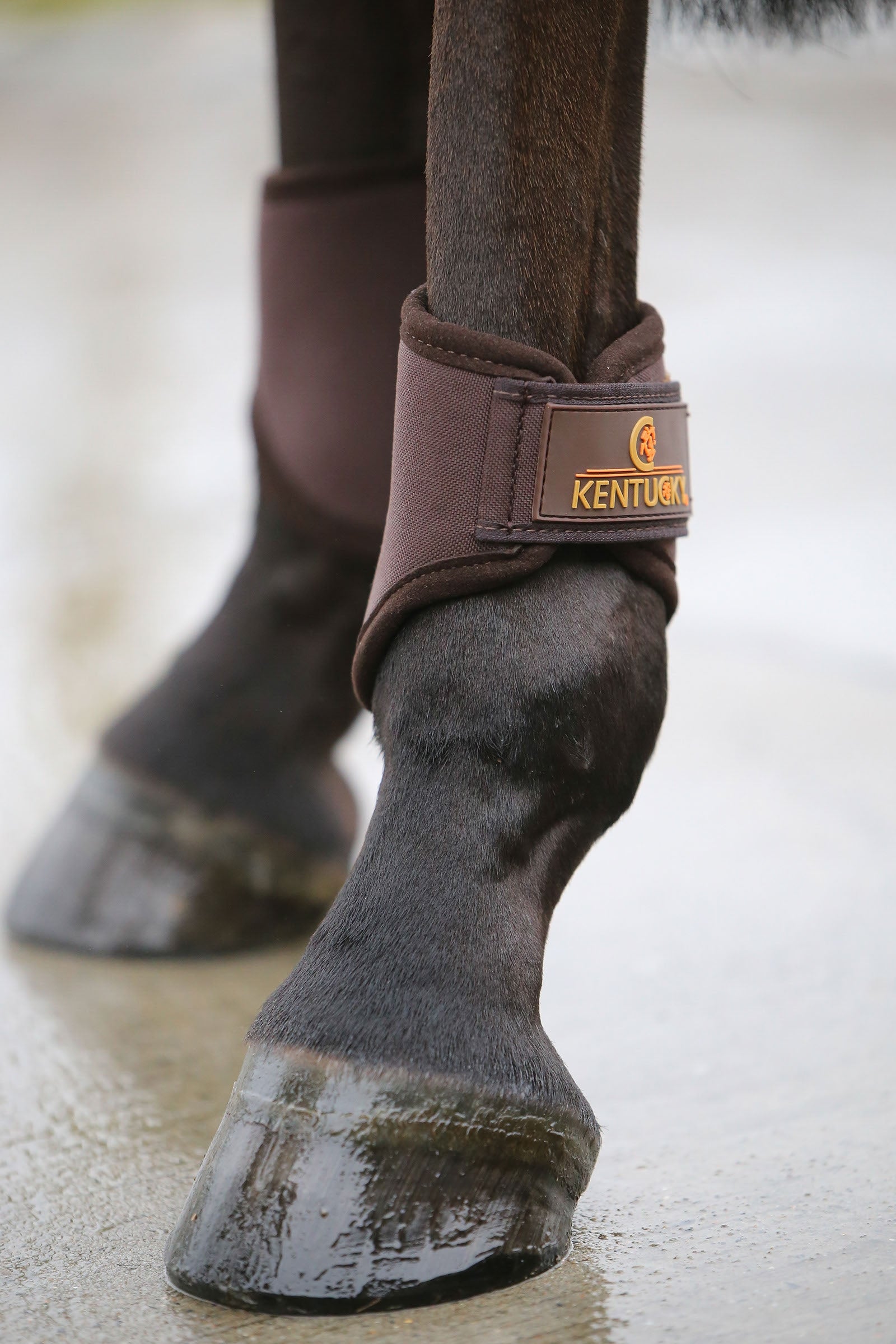 Kentucky Horsewear Kentucky 3D Spacer Hind Leg Protection & Hoof Protection for Horses