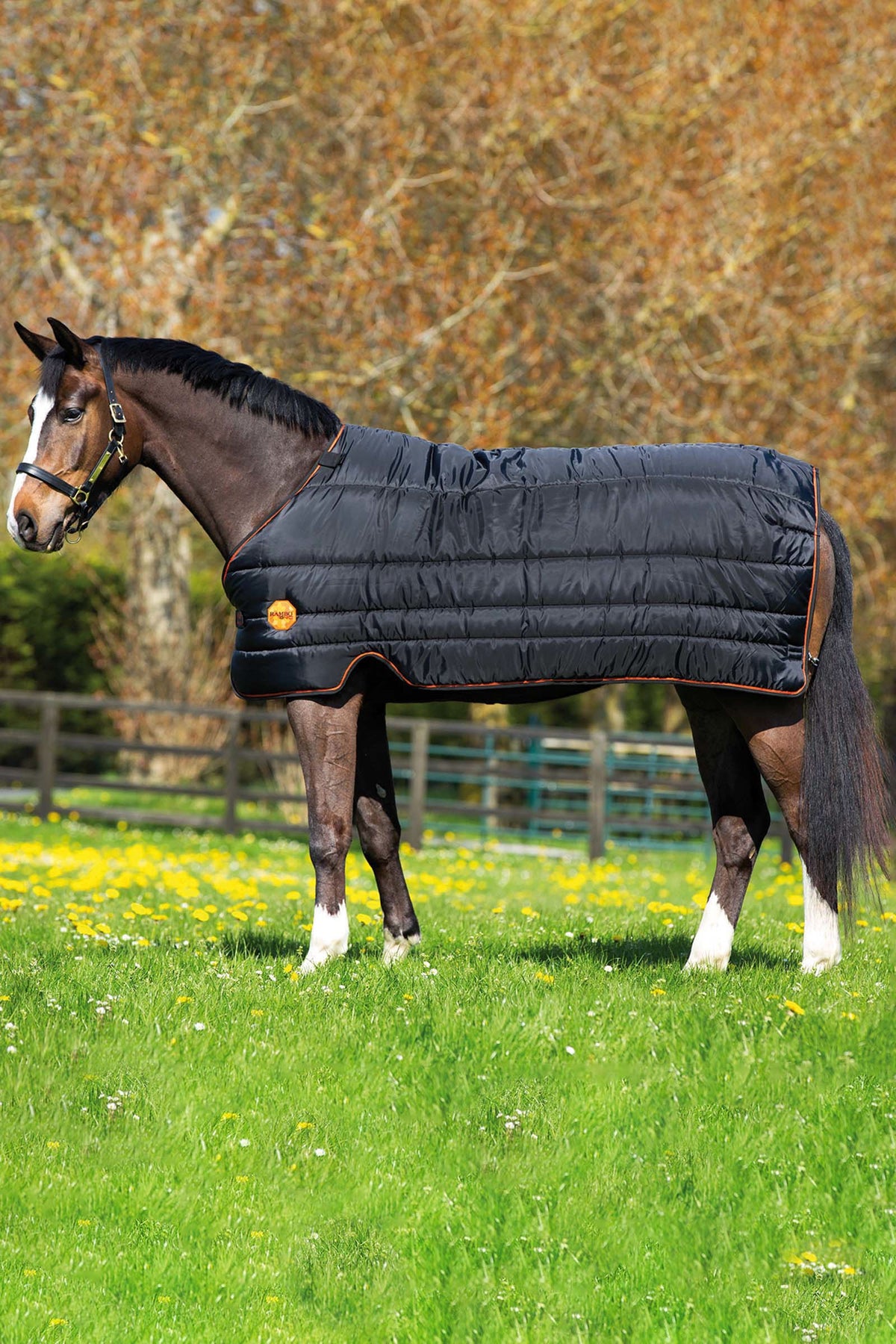 Under Rungs Rambo Ionic Stable- & Under Rug, 100g Black/Black/Orange 130 – horze