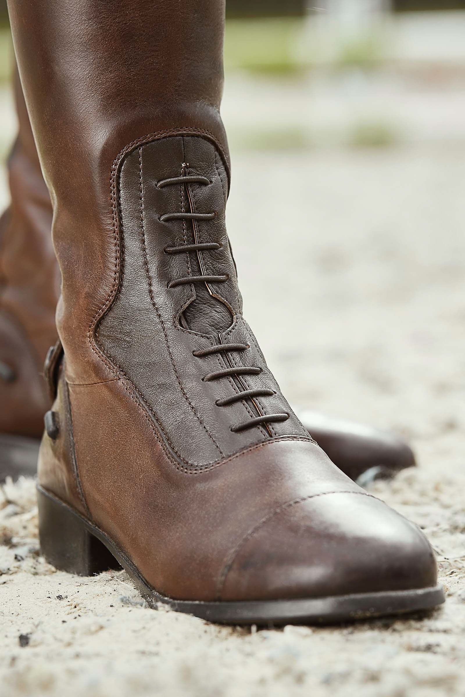 Dublin Galtymore Tall Field Boot Riding Boots & Riding Shoes