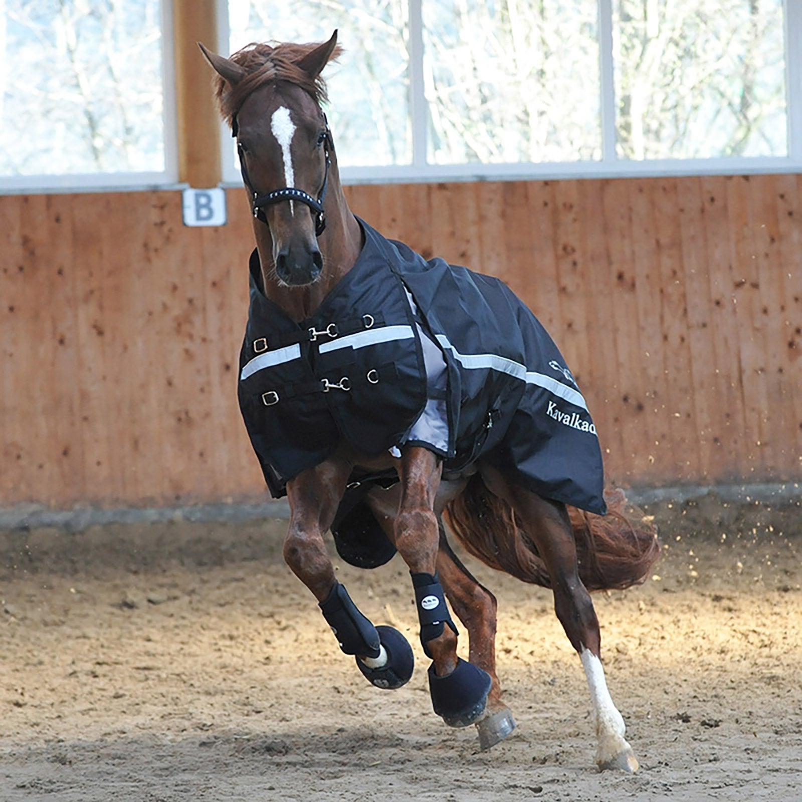 Kavalkade Alaska IV Turnout Rug, 300 g Horse Rugs