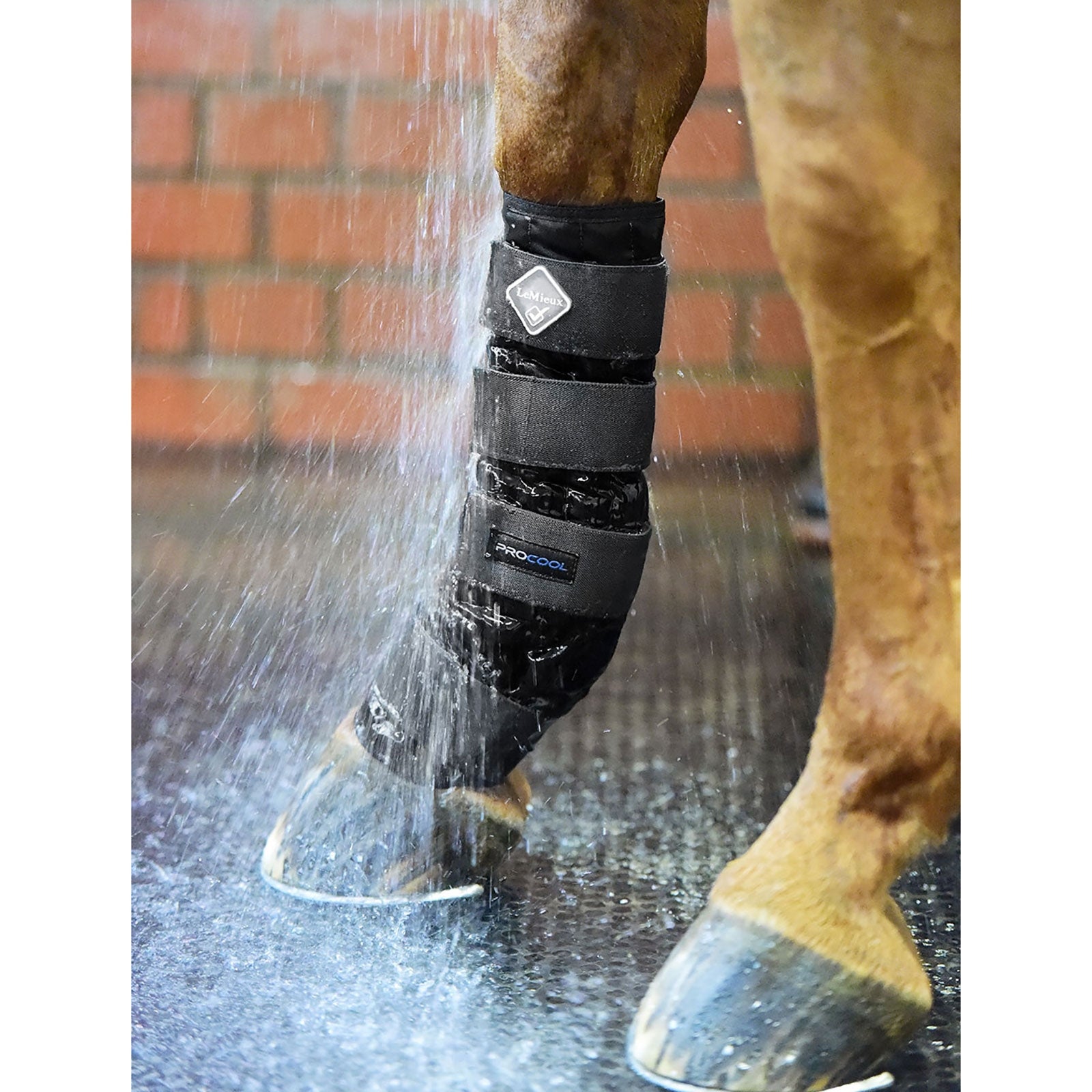 LeMieux Cold Water Boot Leg Protection & Hoof Protection for Horses
