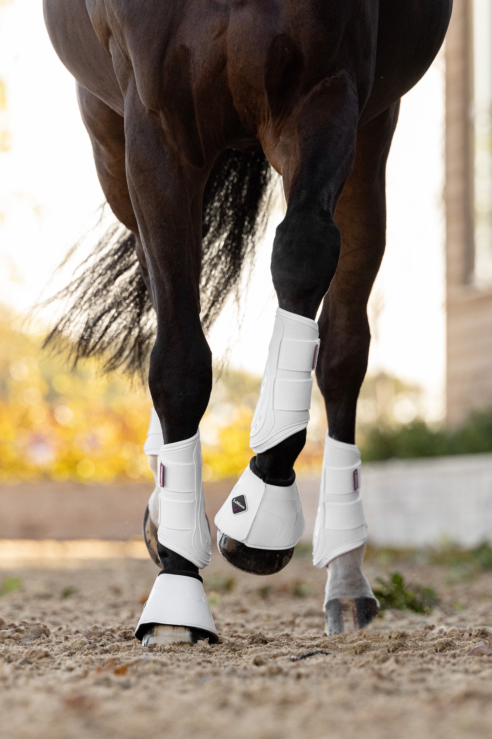 LeMieux ProShell Over Reach Boot Leg Protection & Hoof Protection for Horses