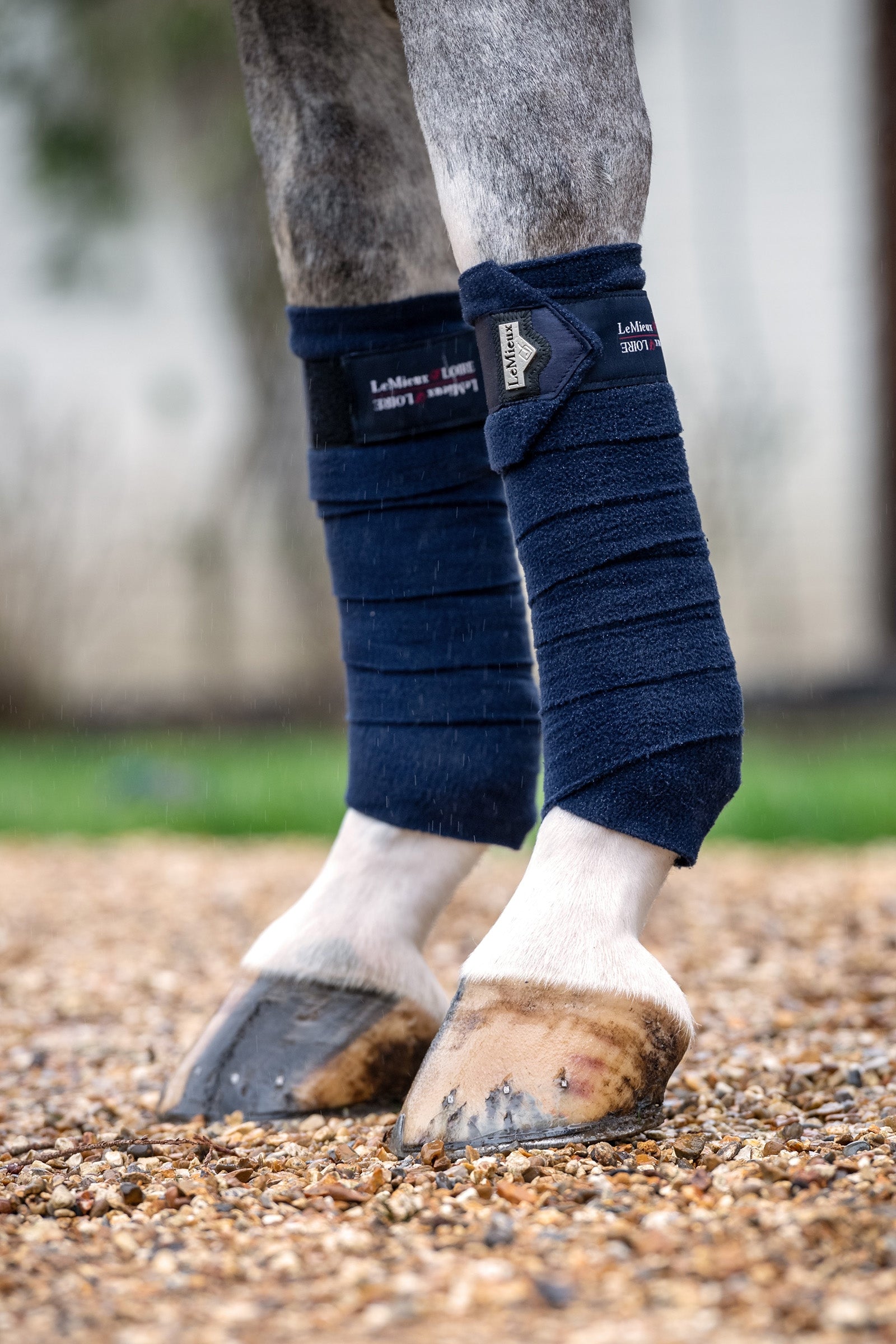 LeMieux Loire Polo Bandages Leg Protection & Hoof Protection for Horses