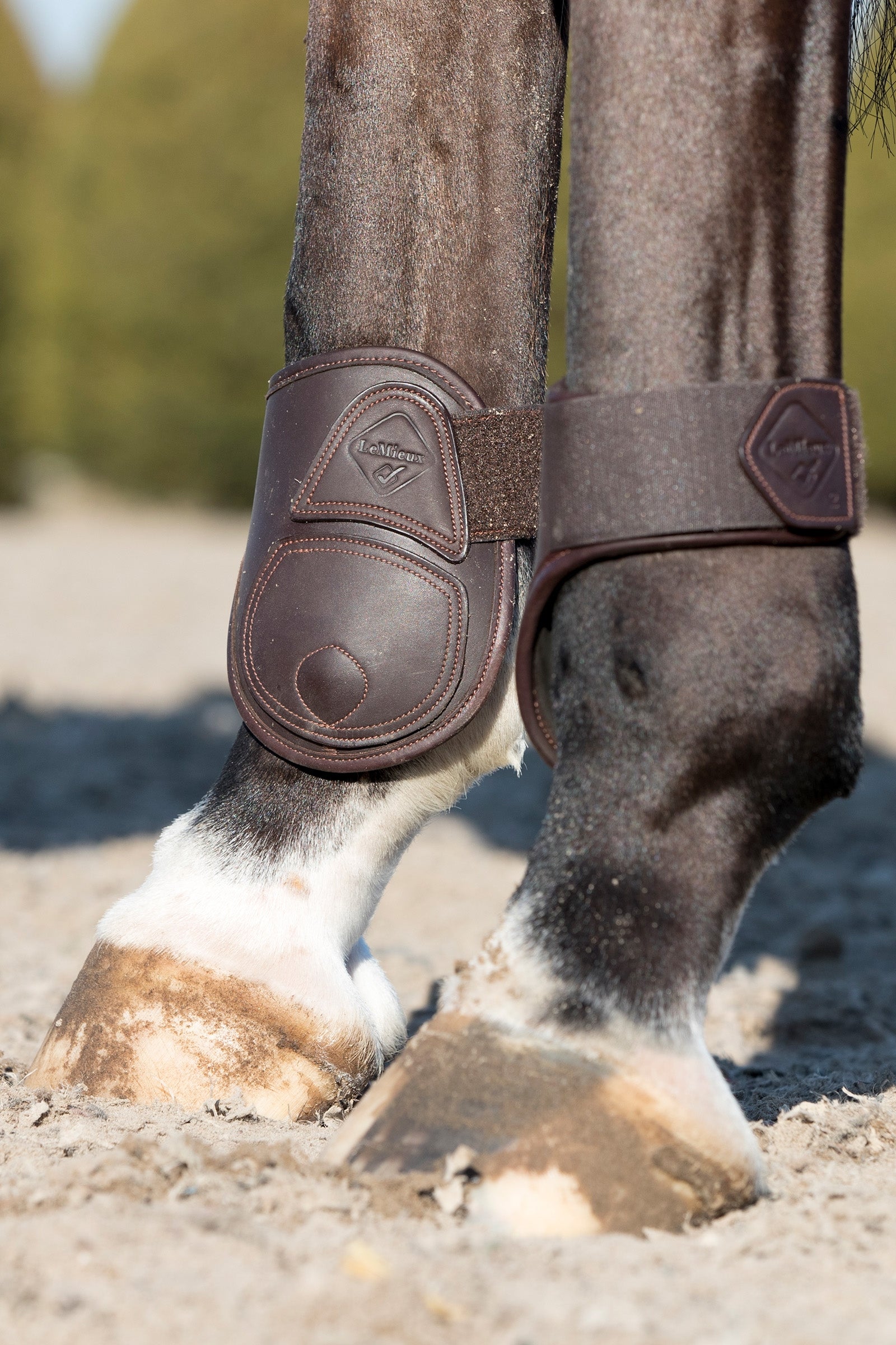 LeMieux Capella Leather Fetlock Boots Leg & Hoof Protection