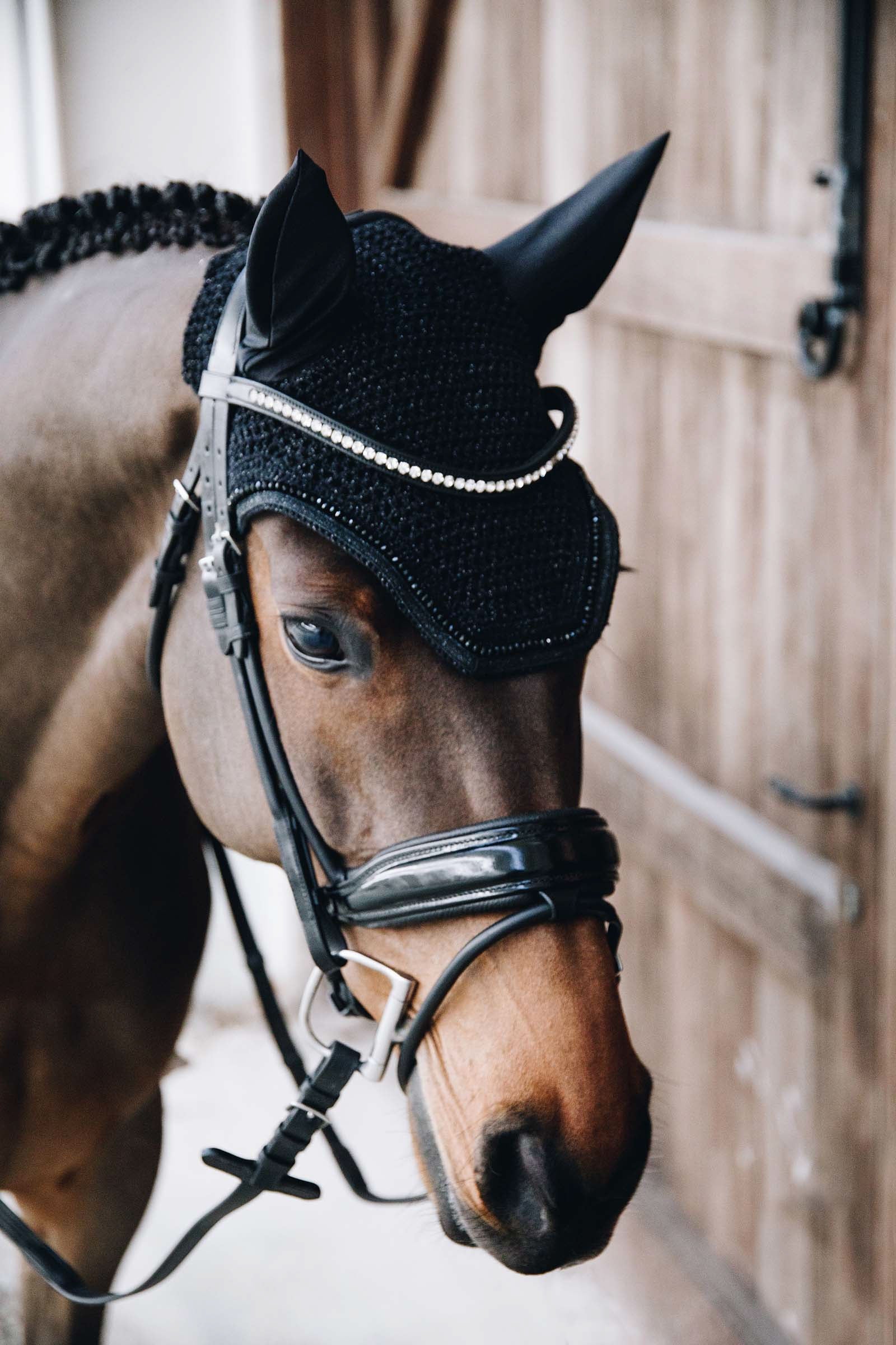 Kentucky Horsewear Wellington Glitter Soundless Fly Veil Saddle Pads