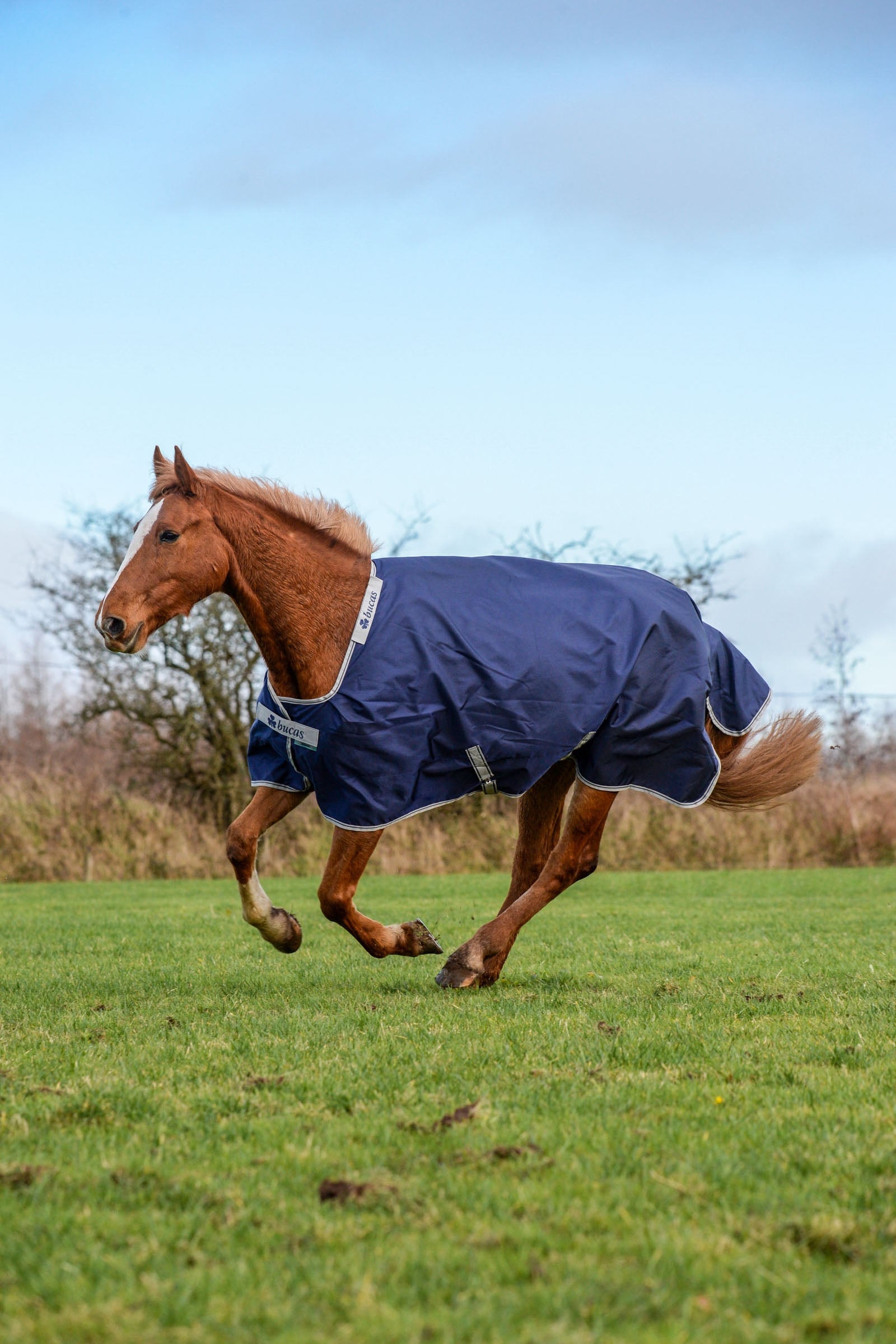 Bucas Atlantic Turnout Rug, 50g Horse Rugs