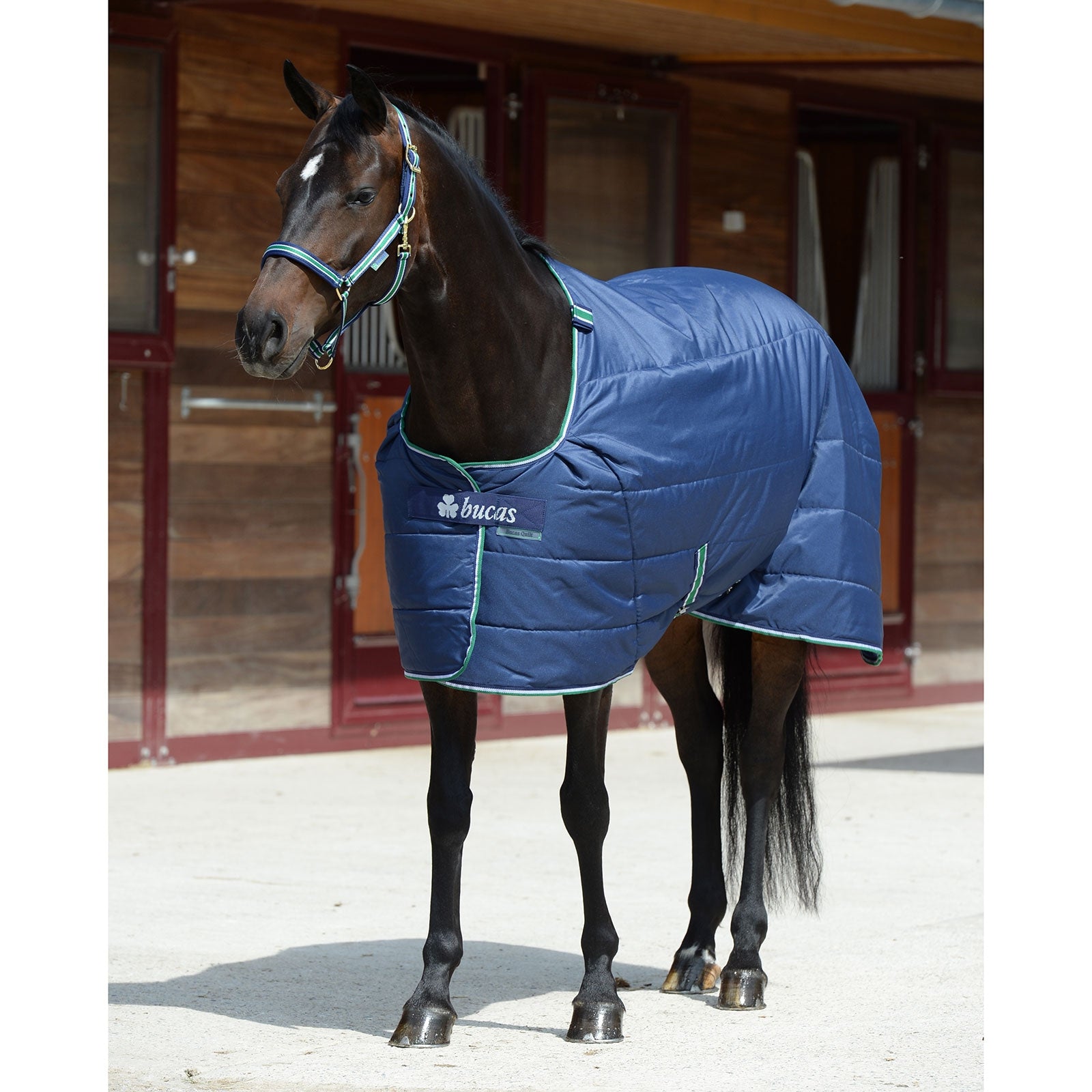 Bucas Quilt 150g SD Big Neck Horse Rugs