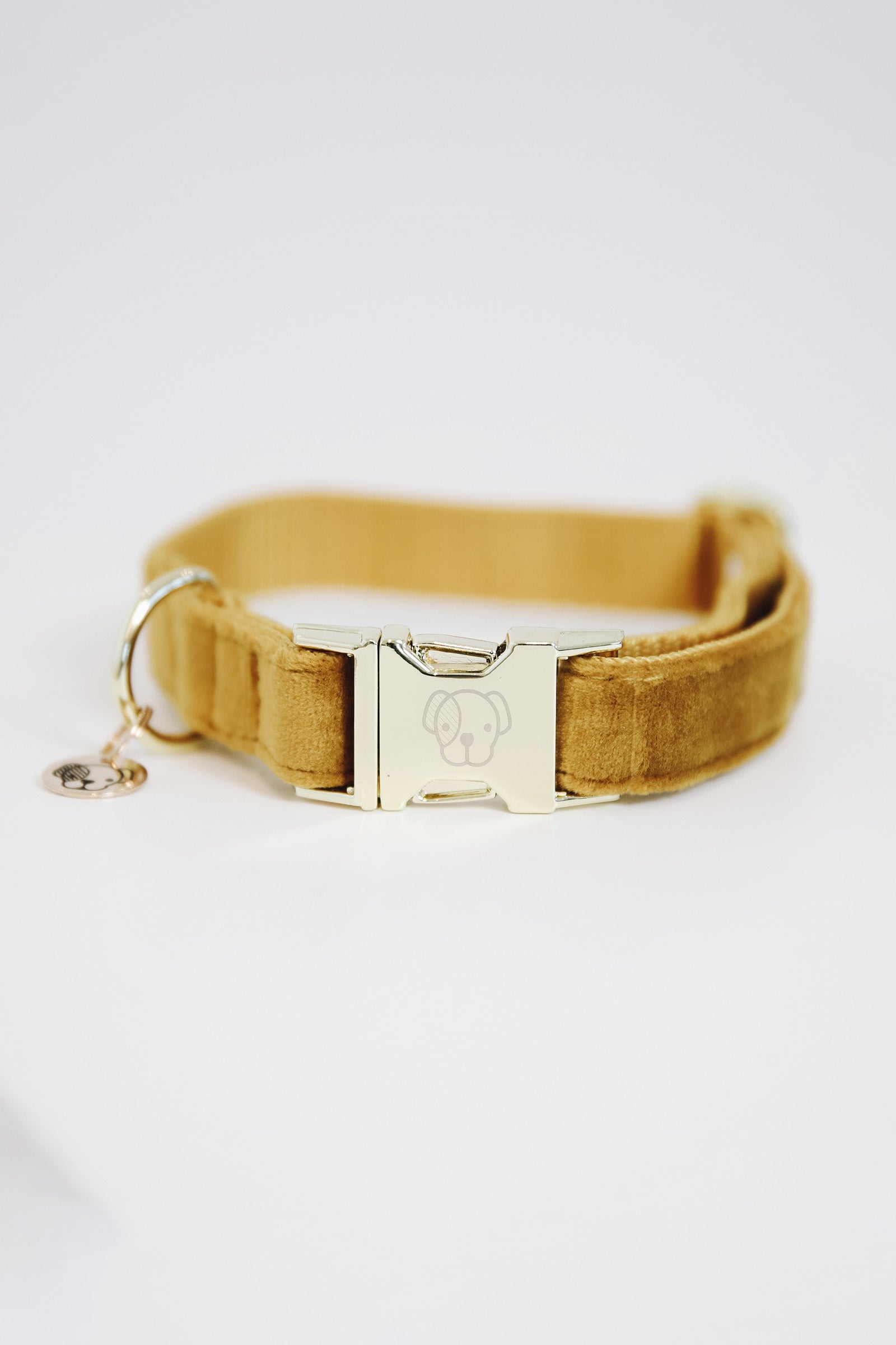 Kentucky Dogwear Dog Collar Velvet Dog Accesories