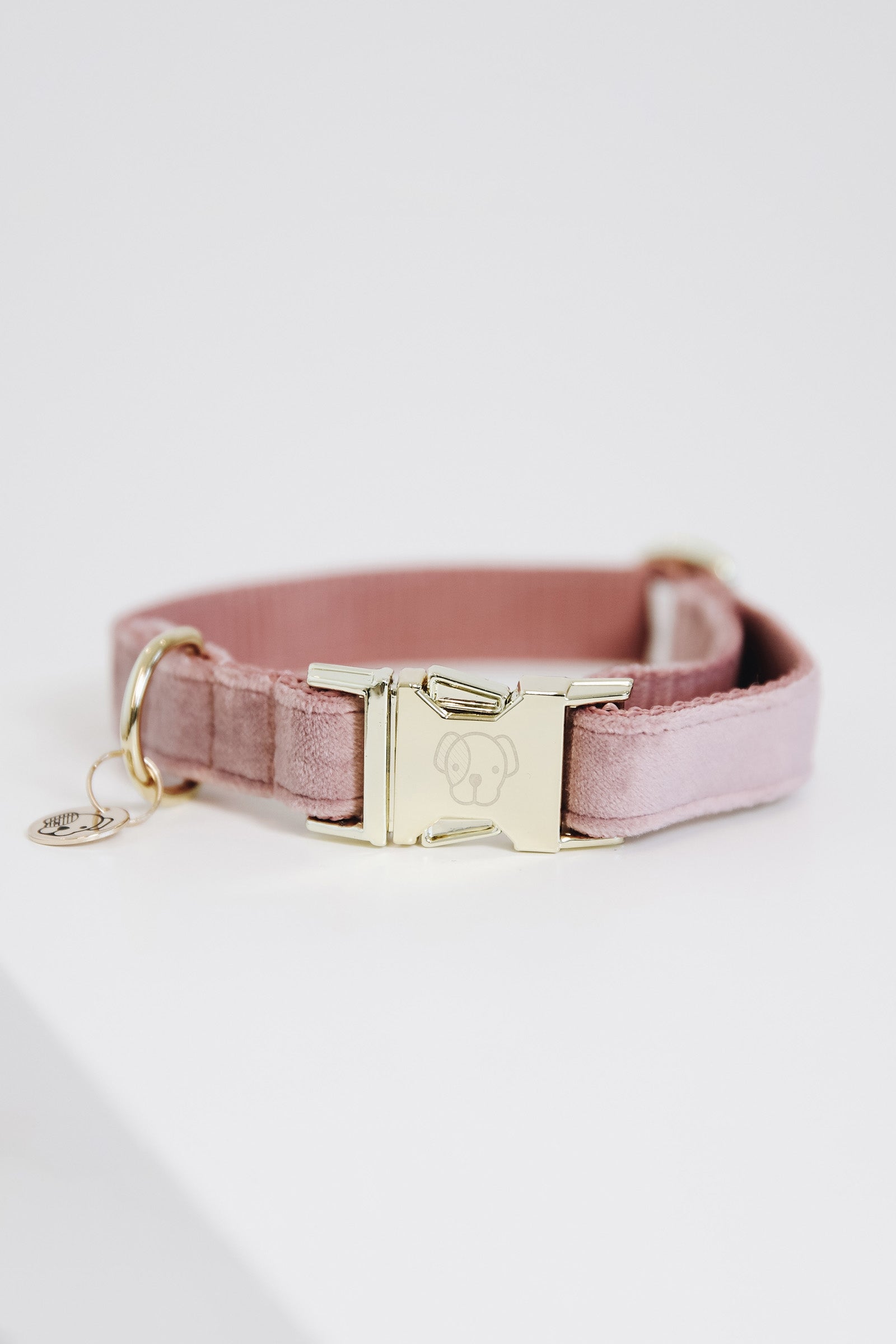 Kentucky Dogwear Dog Collar Velvet Dog Accesories